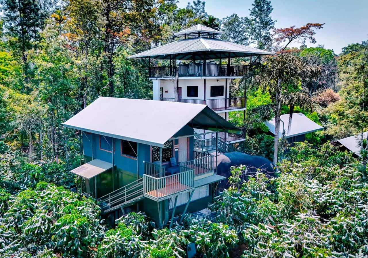 Property building in Niyatma Wayanad Pool Resort by VOYE HOMES - Inside Coffee Plantation