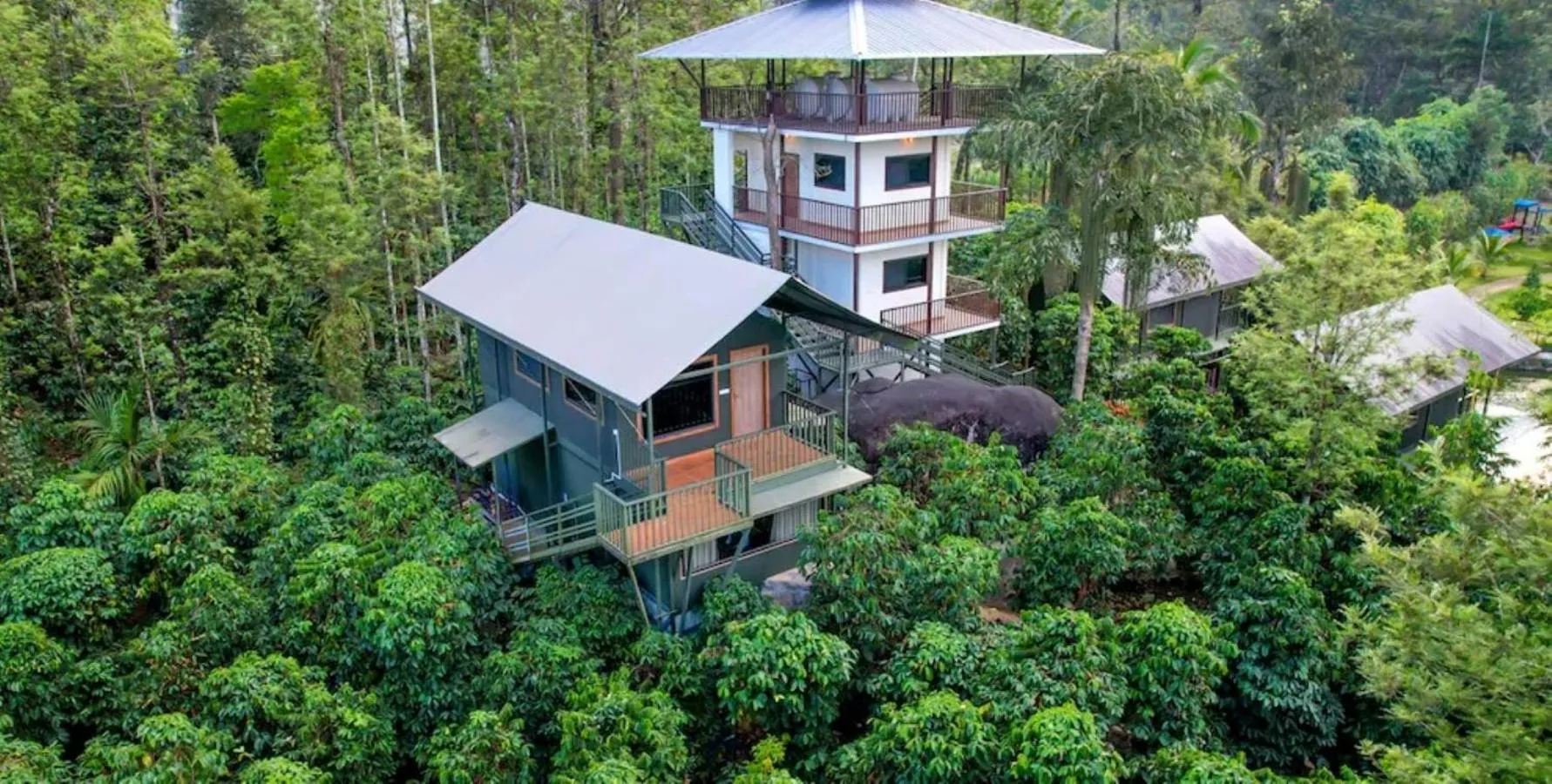Property building in Niyatma Wayanad Pool Resort by VOYE HOMES - Inside Coffee Plantation