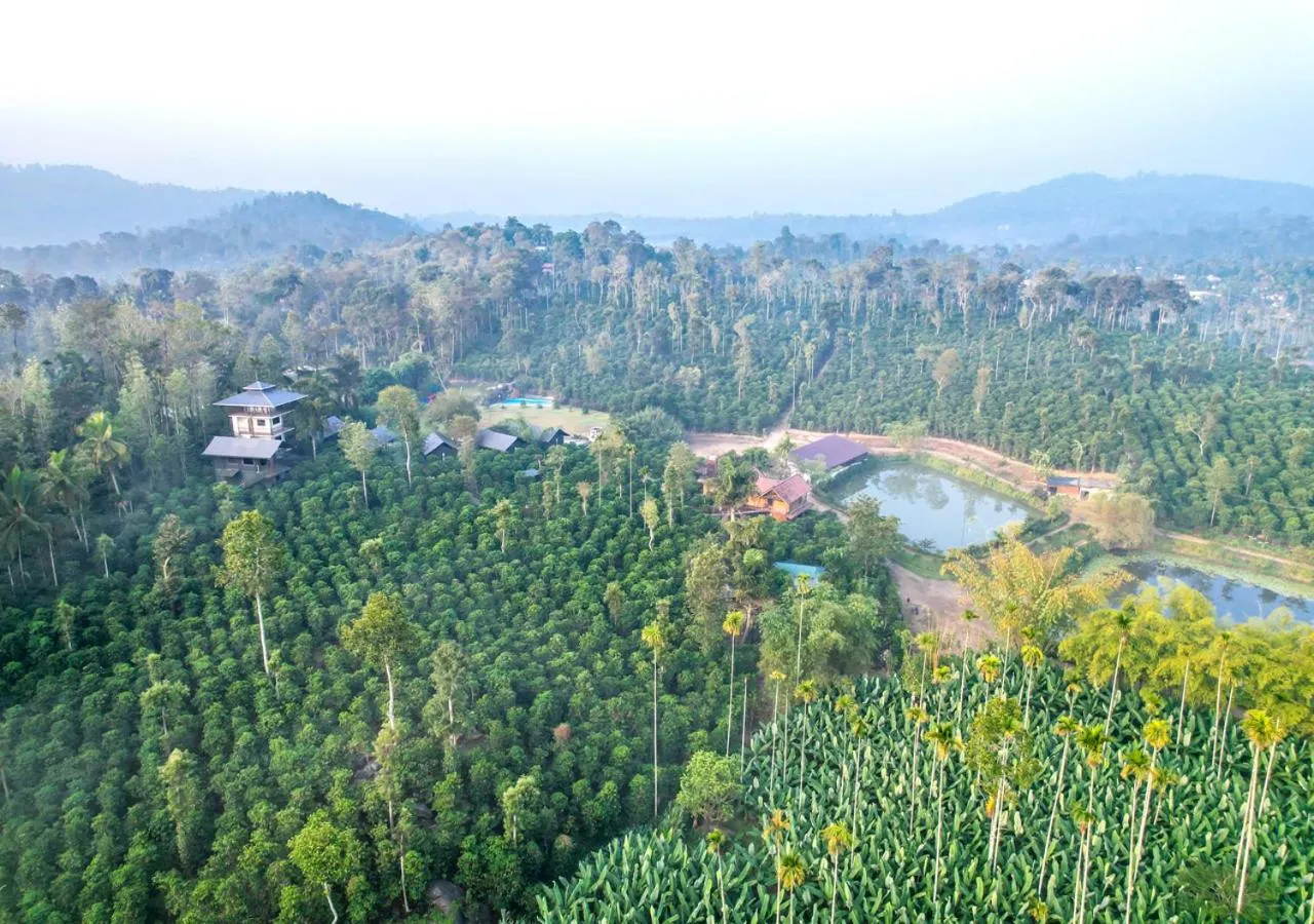 Property building in Niyatma Wayanad Pool Resort by VOYE HOMES - Inside Coffee Plantation