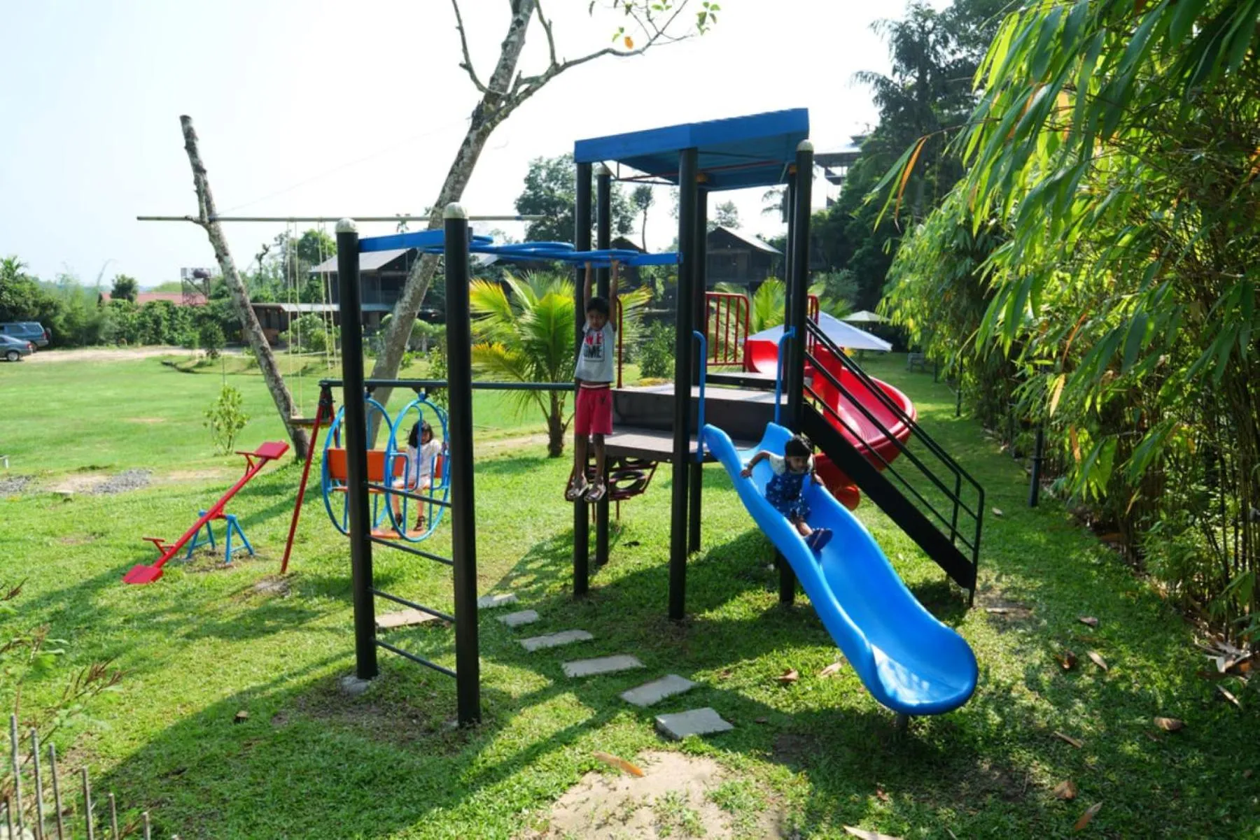 Day in Niyatma Wayanad Pool Resort by VOYE HOMES - Inside Coffee Plantation