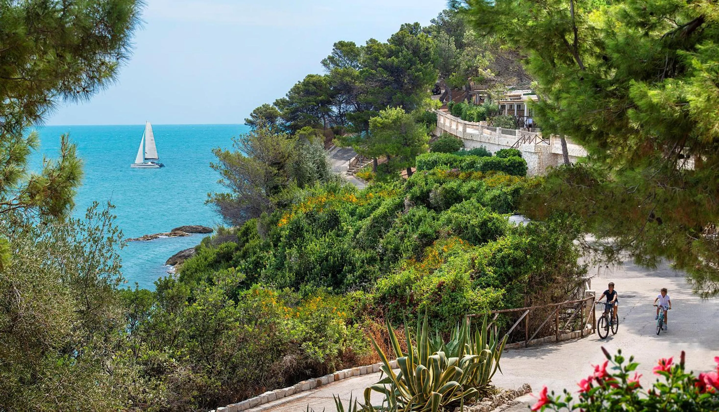 Gattarella Family Resort Puglia - Self catering accommodations in the pinewood