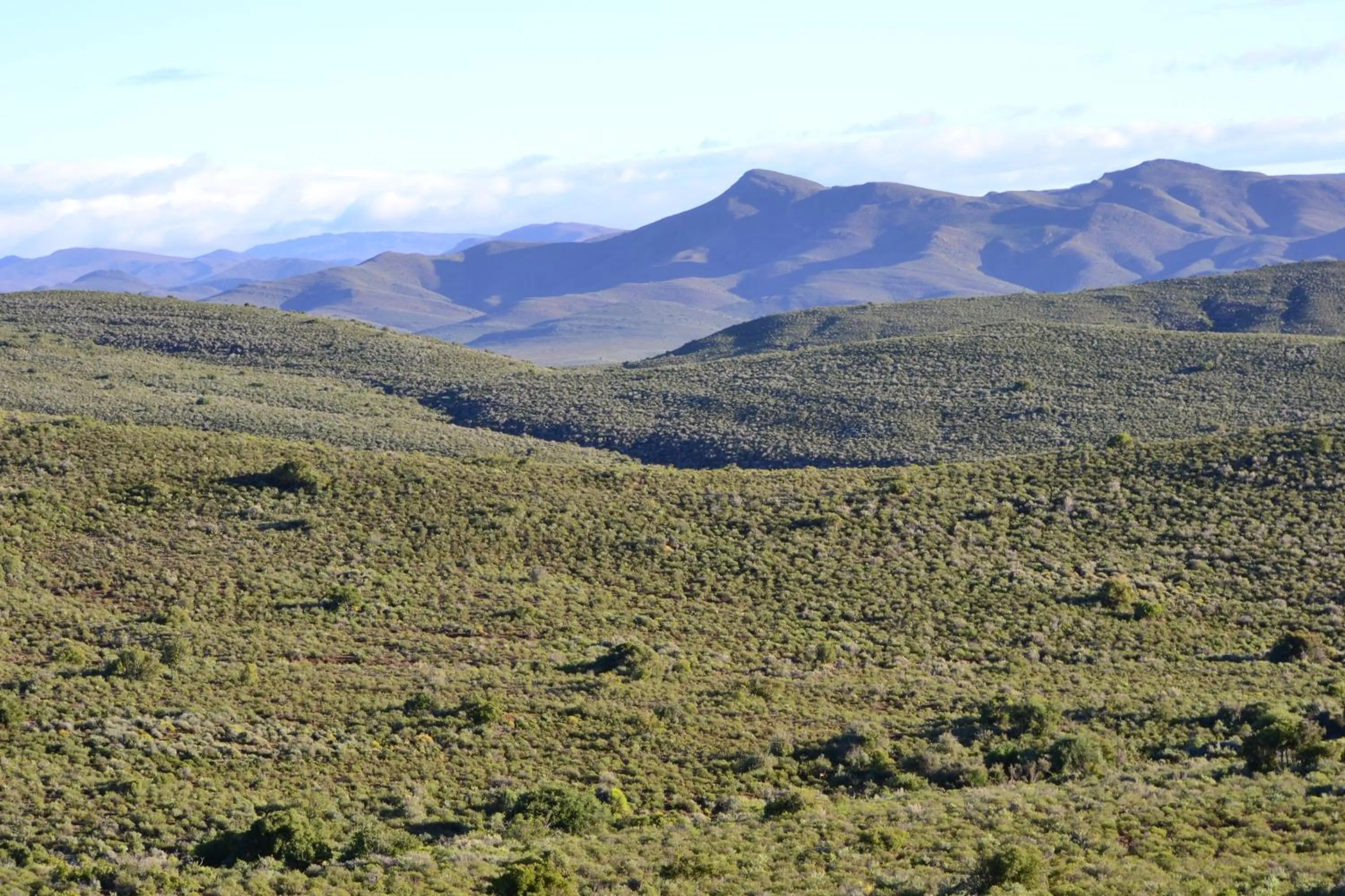 View (from property/room) in Mont Eco Game Reserve