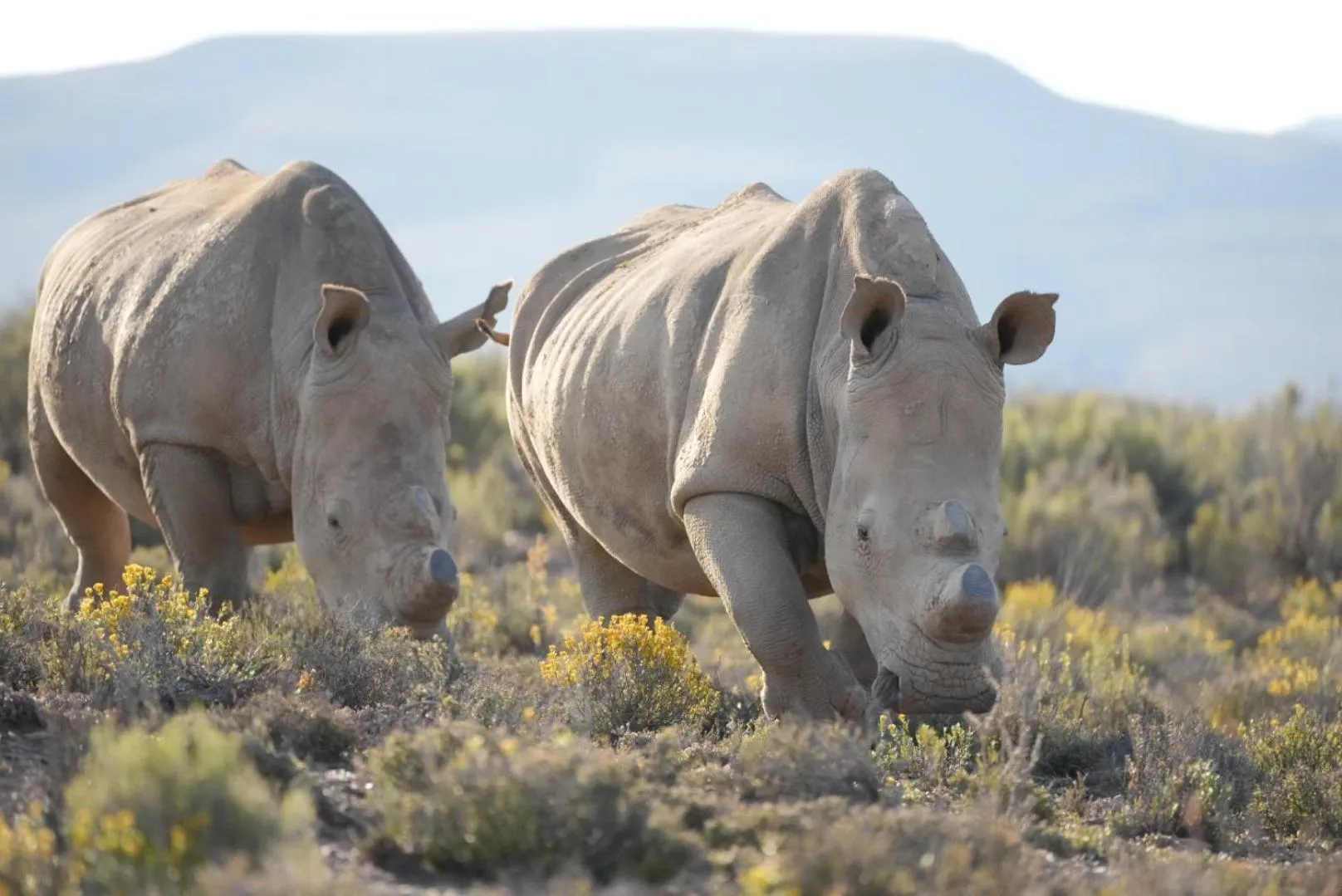 Day in Mont Eco Game Reserve