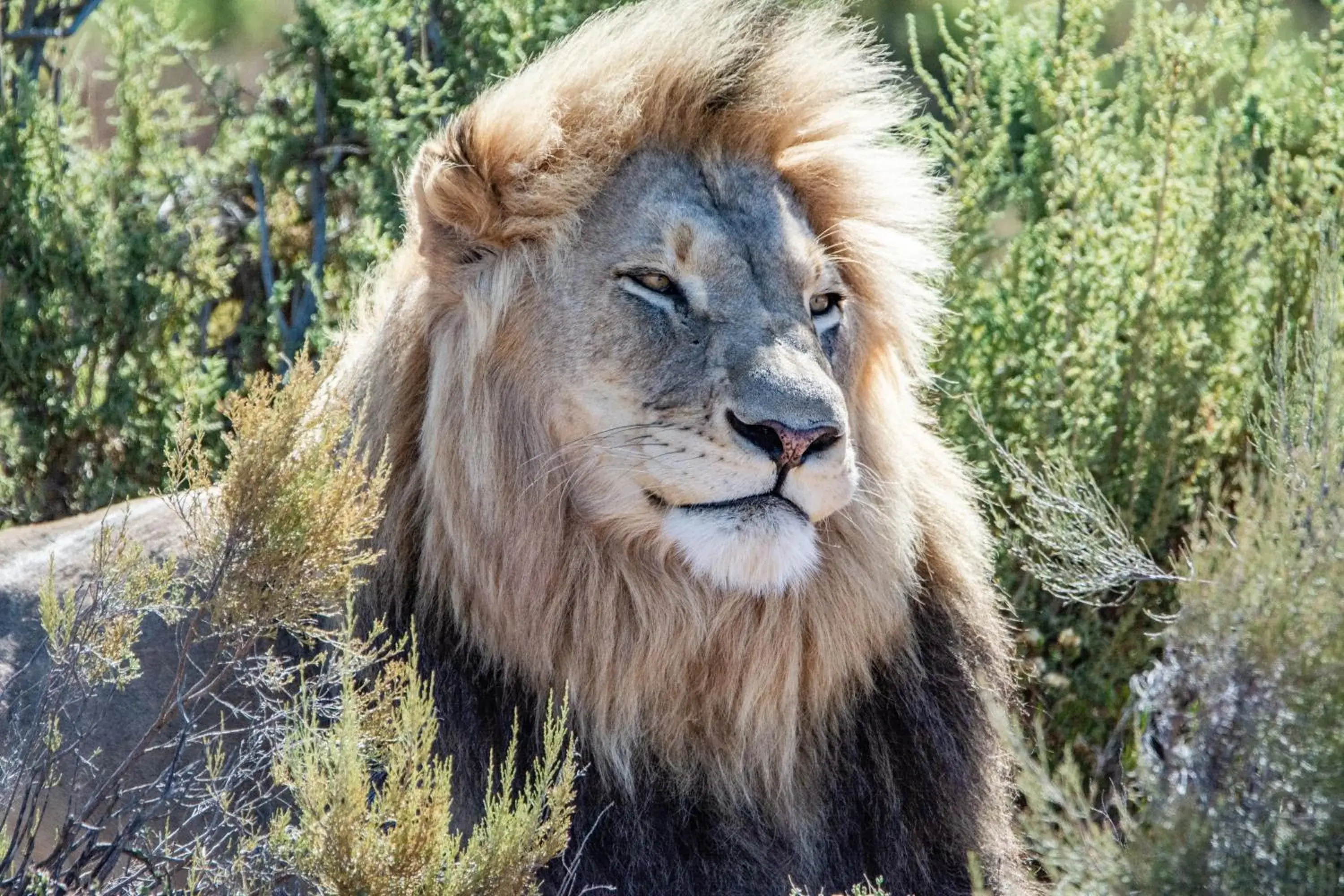 Mont Eco Game Reserve Mont Eco Game Reserve