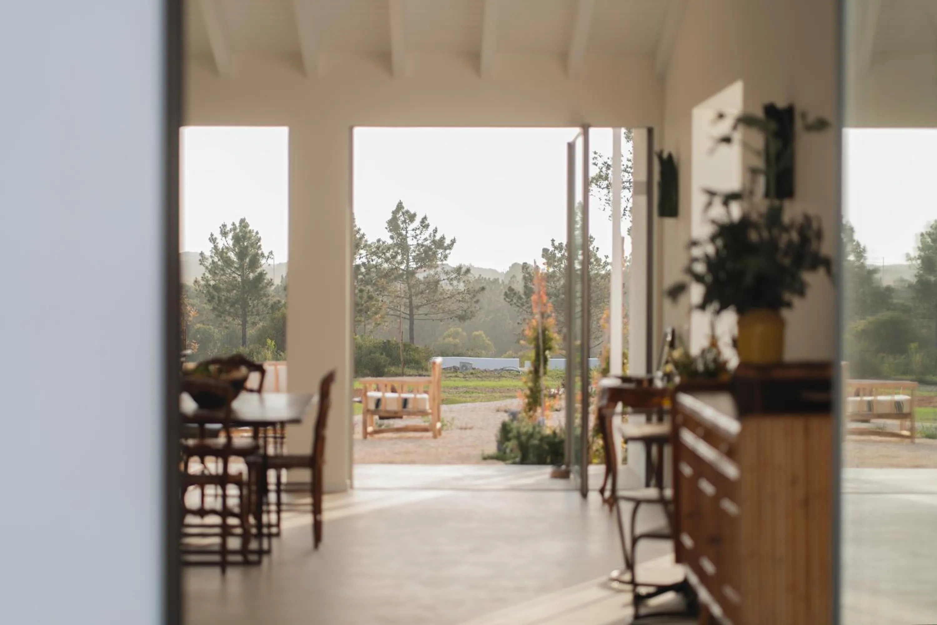 View (from property/room) in Amaria