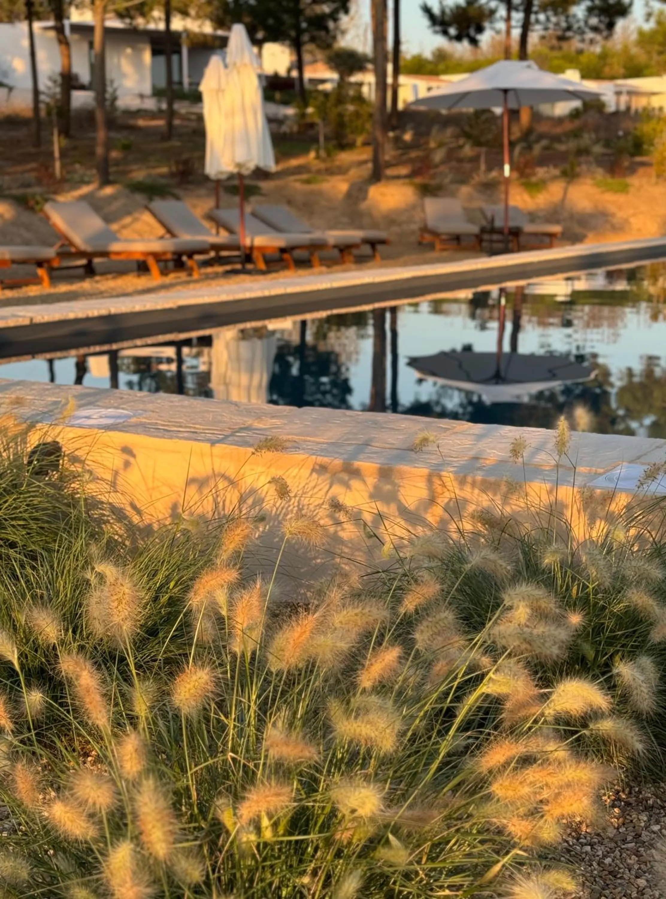 Swimming pool in Amaria