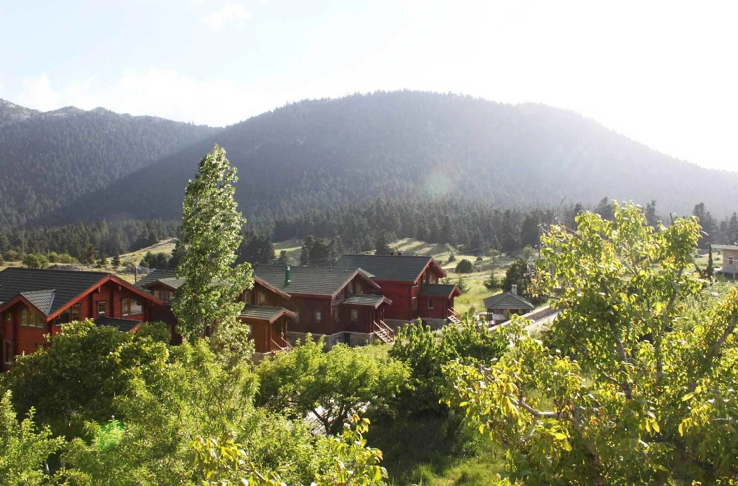 Garden view in Boutique Hotel Skamnos Arachova