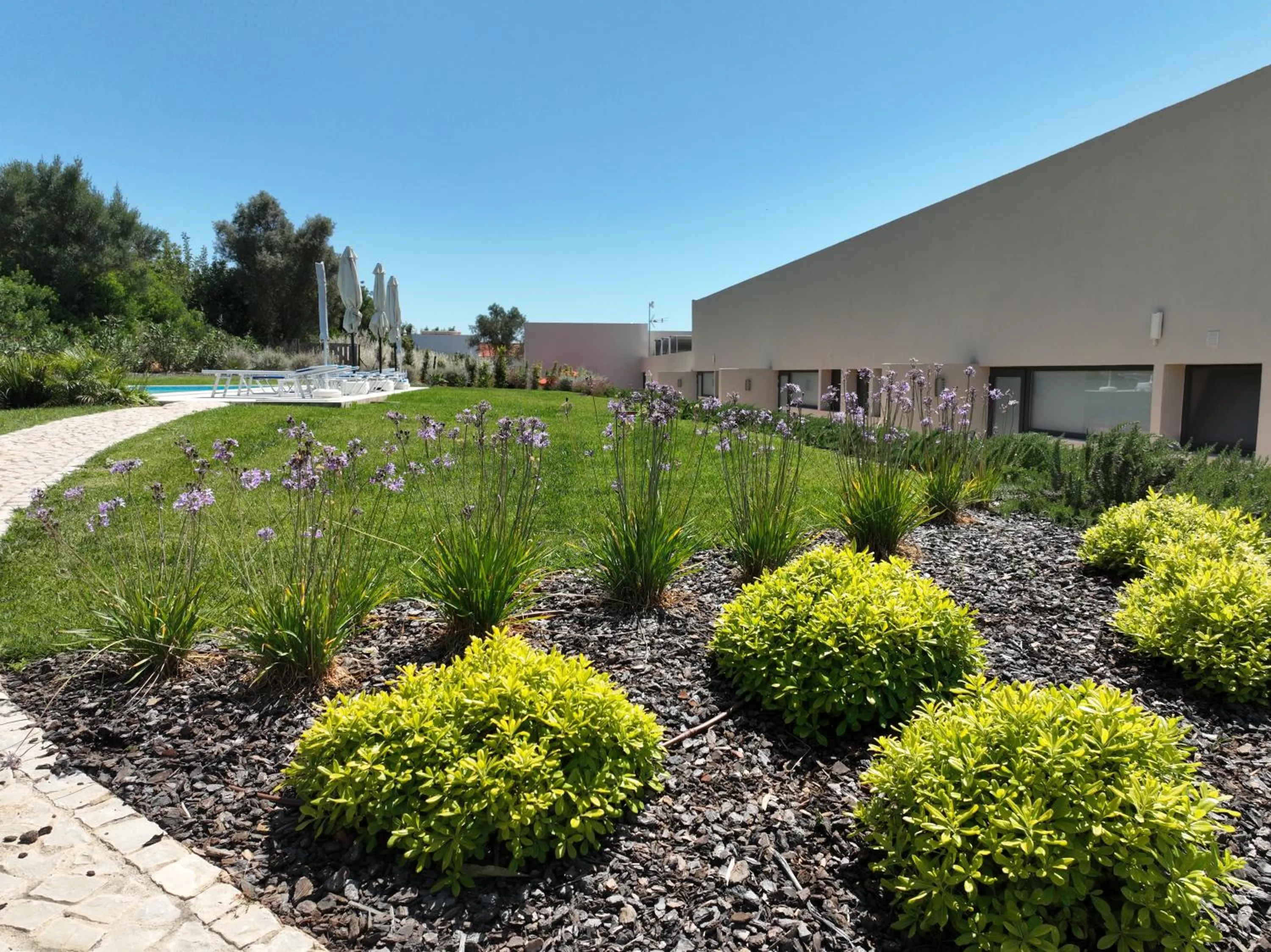 Garden in Suites Sunny hill