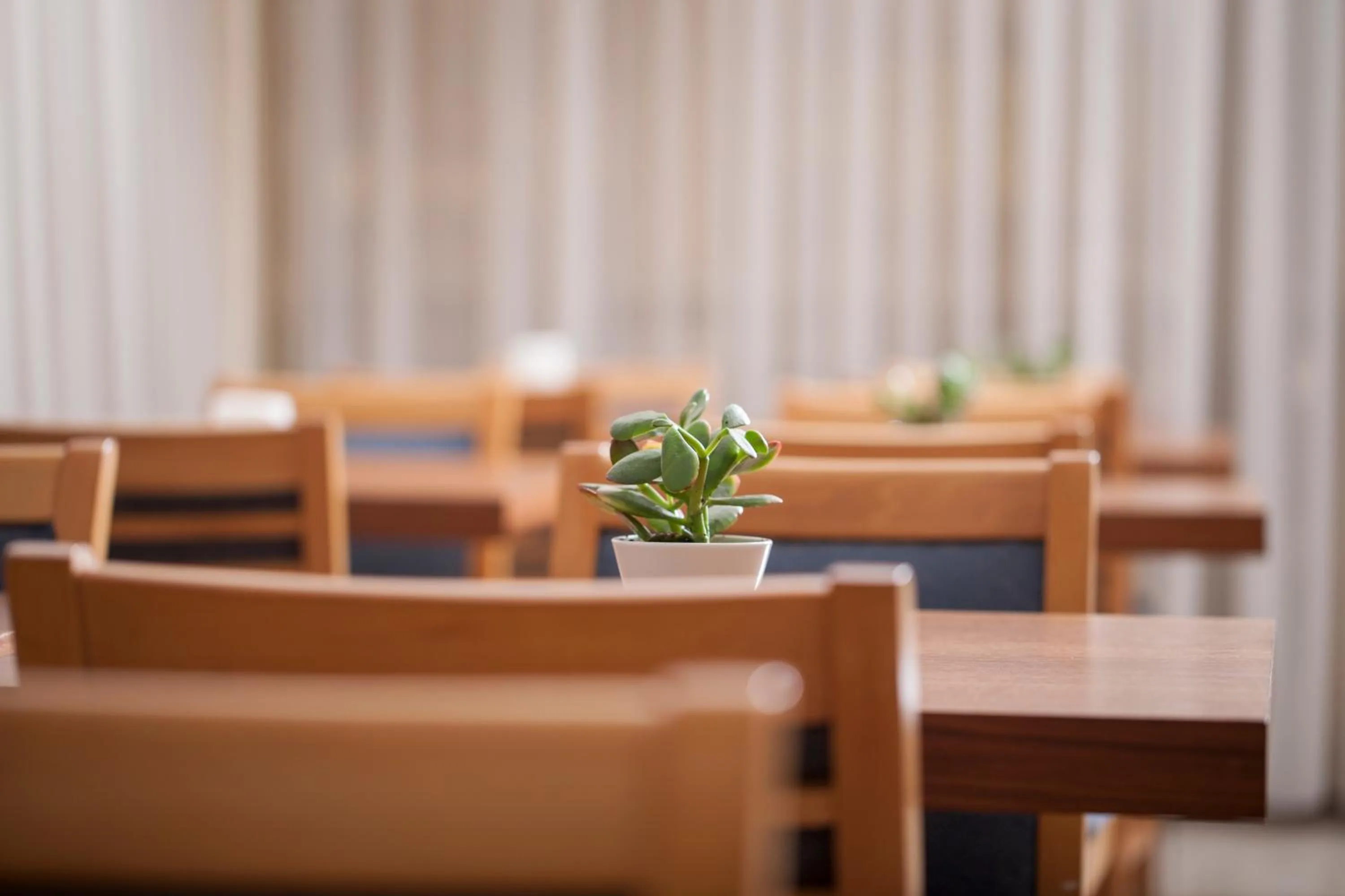 Lounge or bar in Telioni Hotel