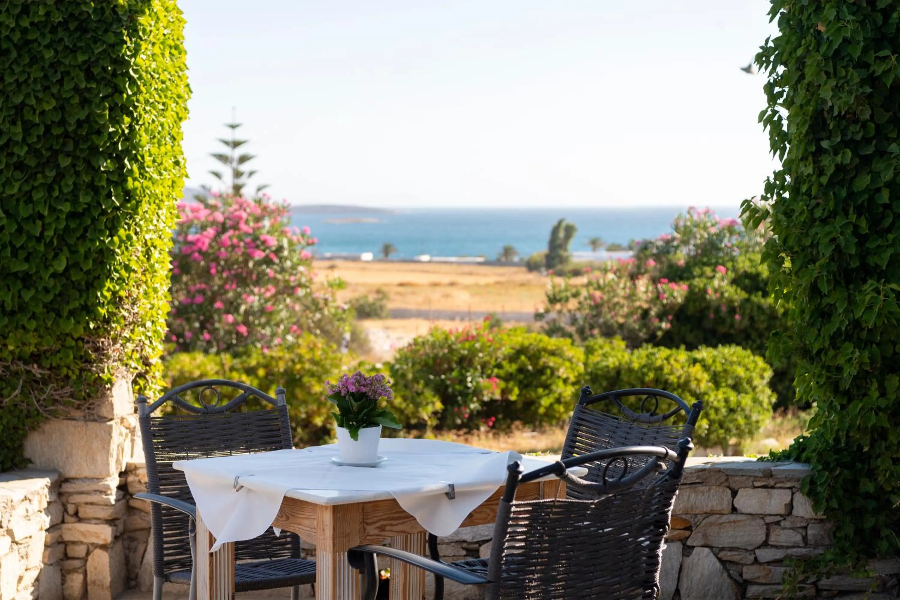 Day in Hotel Swiss Home