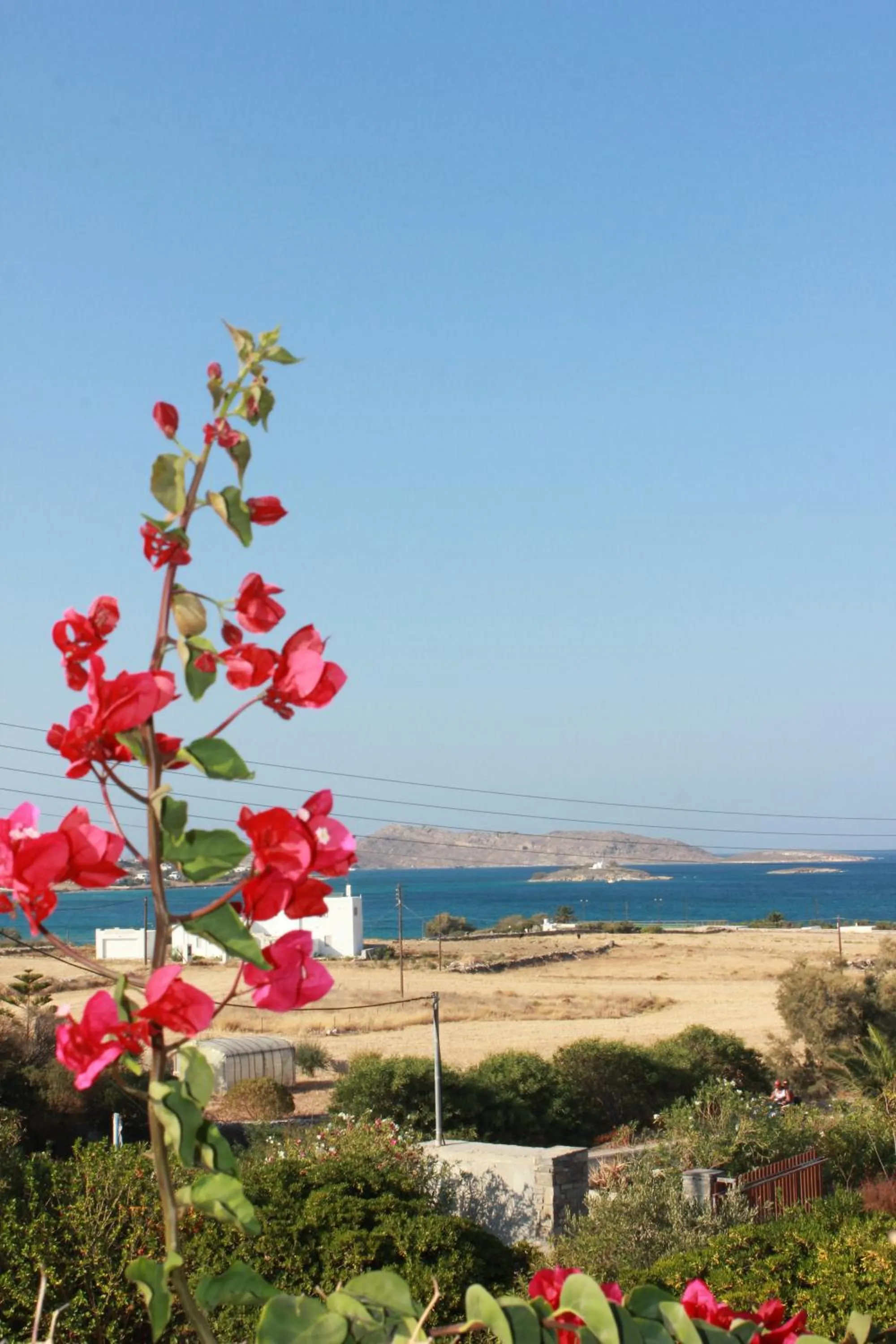 Natural landscape in Hotel Swiss Home