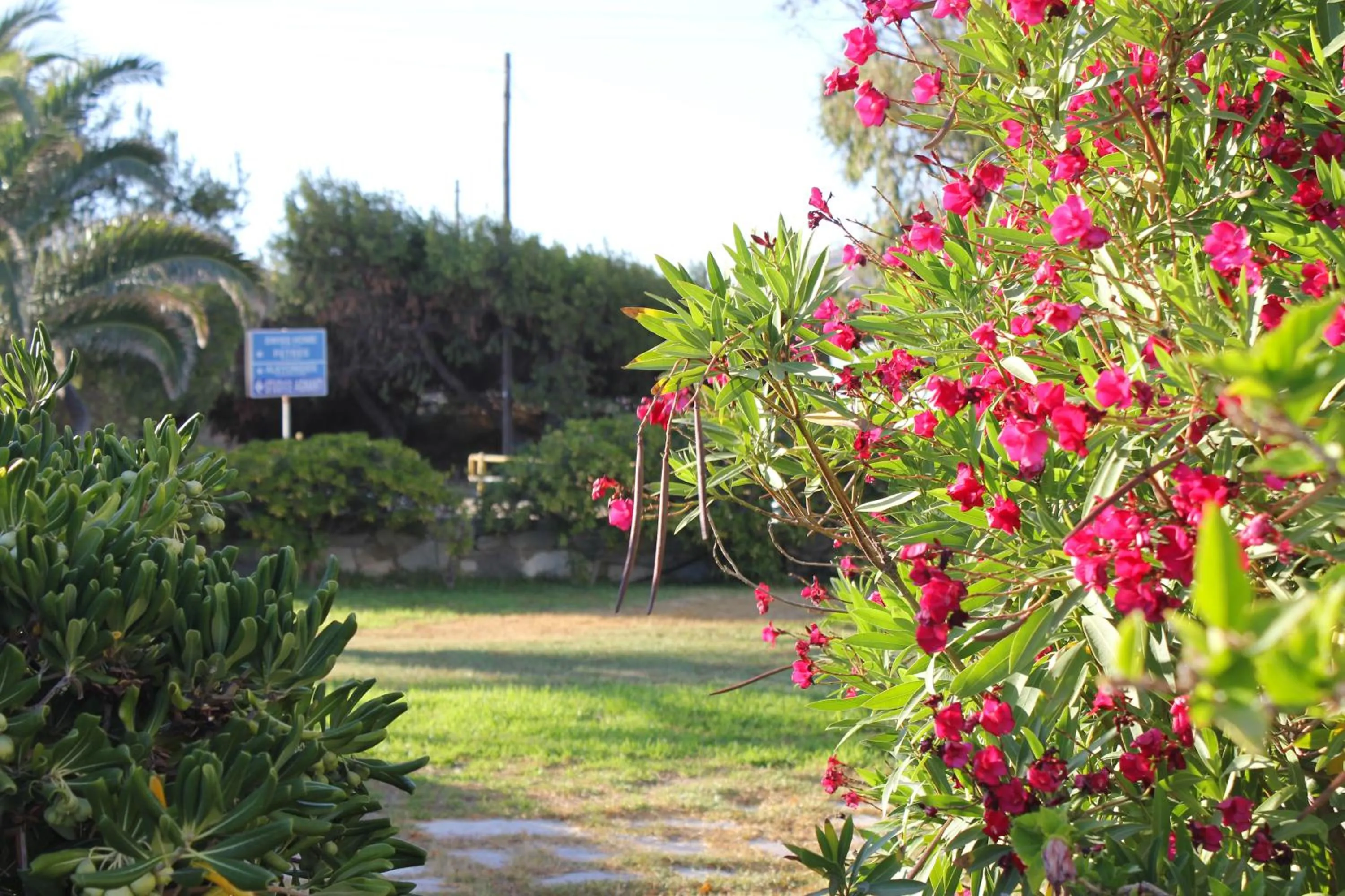 Other in Hotel Swiss Home