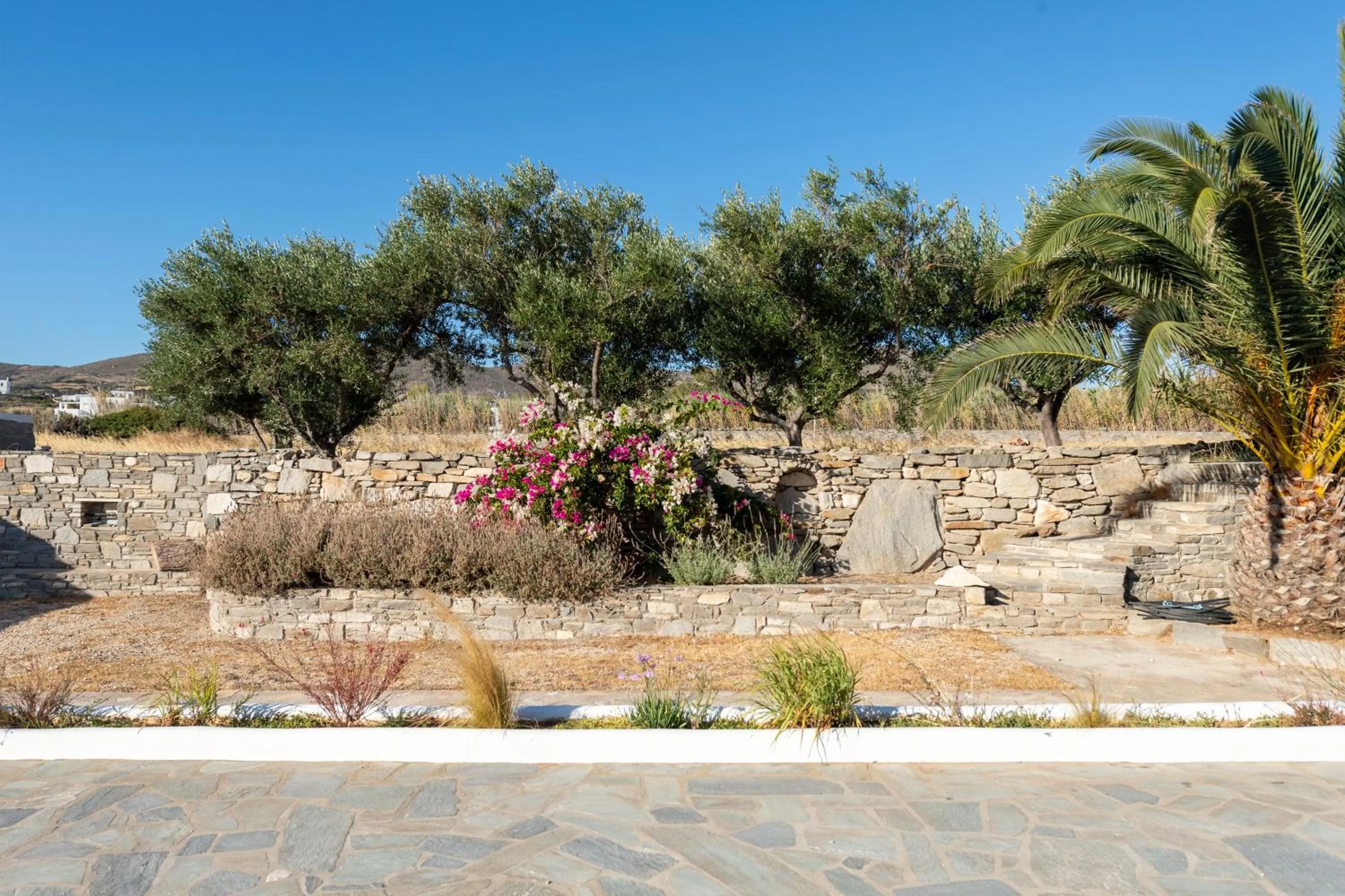 Garden in Hotel Swiss Home