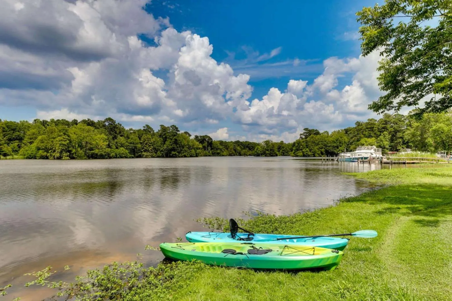 Natural landscape in Bells Marina & Fishing Resort - Santee Lake Marion by I95 - Family Adventure, Pets on Request!