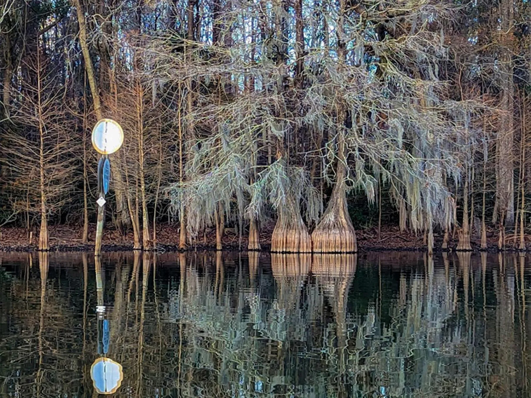 Natural landscape in Bells Marina & Fishing Resort - Santee Lake Marion by I95 - Family Adventure, Pets on Request!