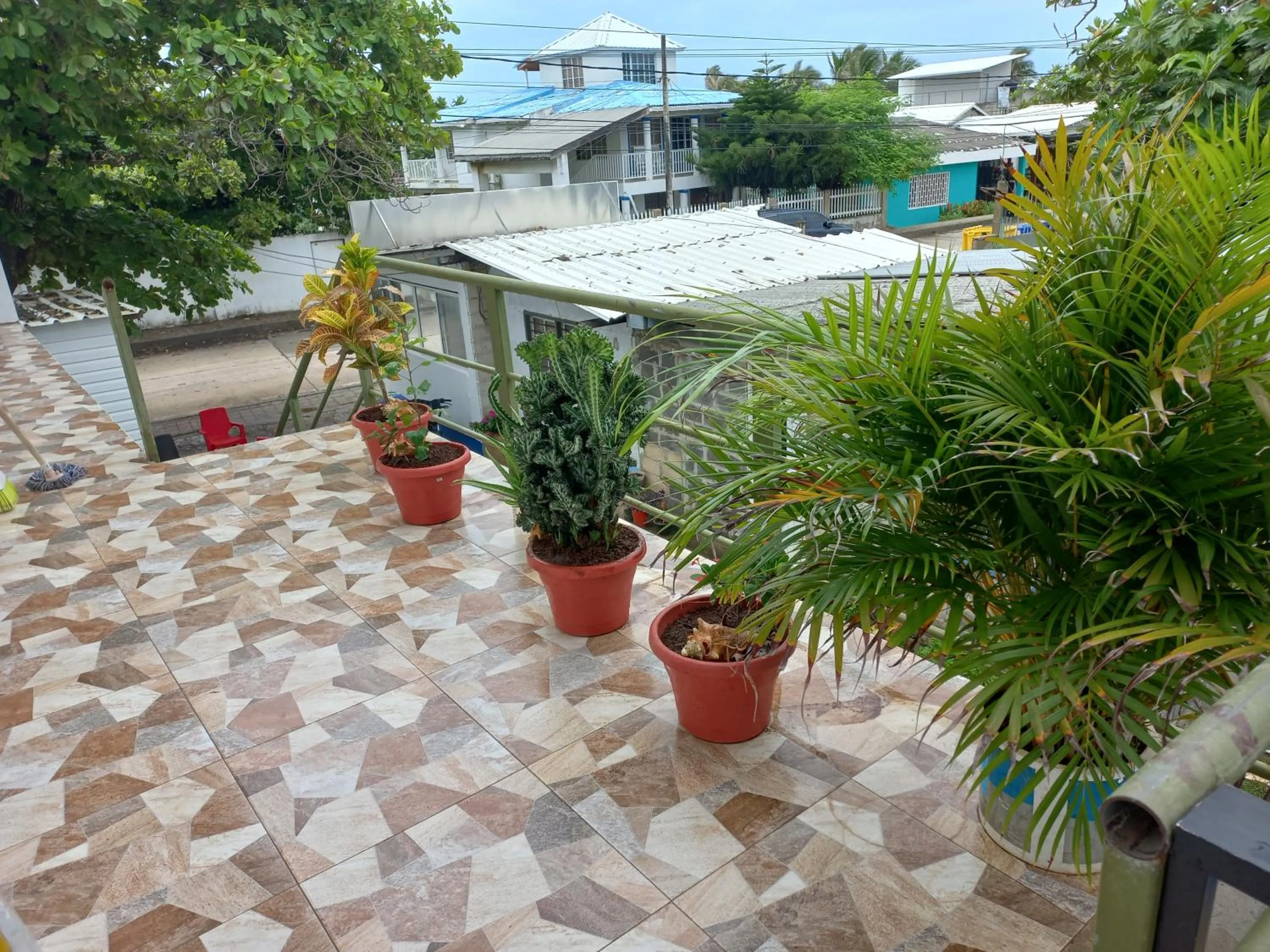 Balcony/Terrace in LODGE ELIZABETH HOUSE