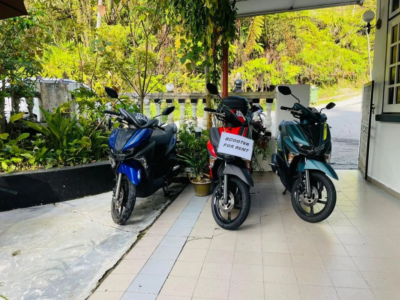 Area and facilities in Vintage Guesthouse