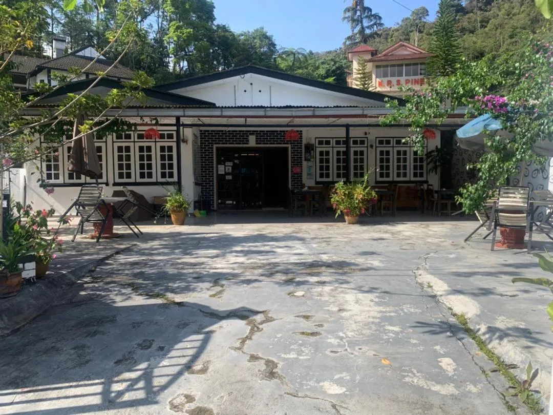 Garden in Vintage Guesthouse