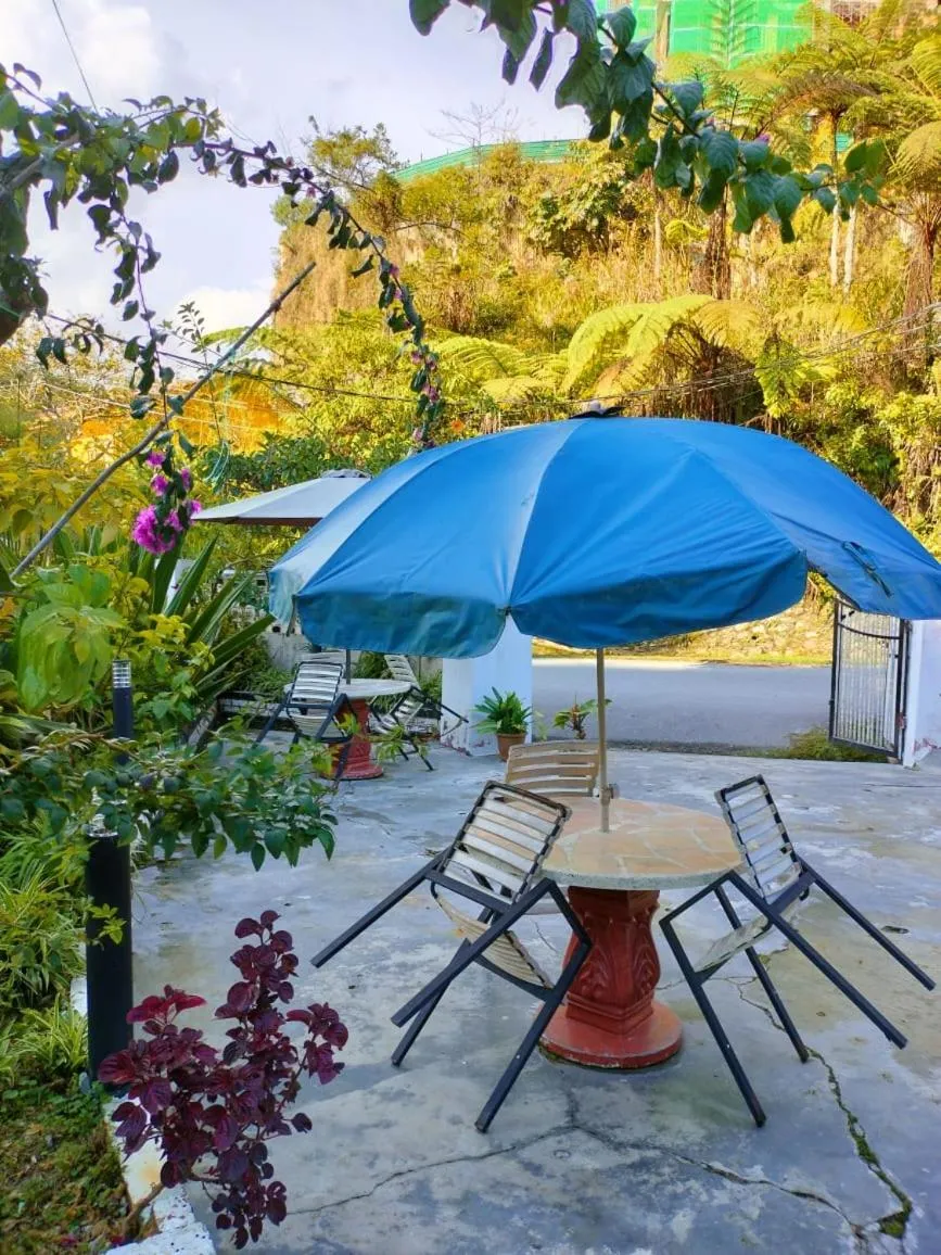 Area and facilities in Vintage Guesthouse