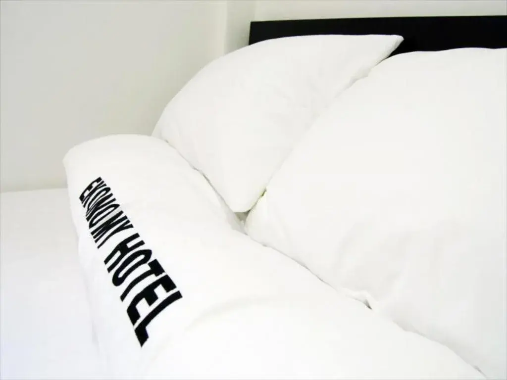 Standard Double Room in Ekonomy Hotel Standard Double Room in Ekonomy Hotel