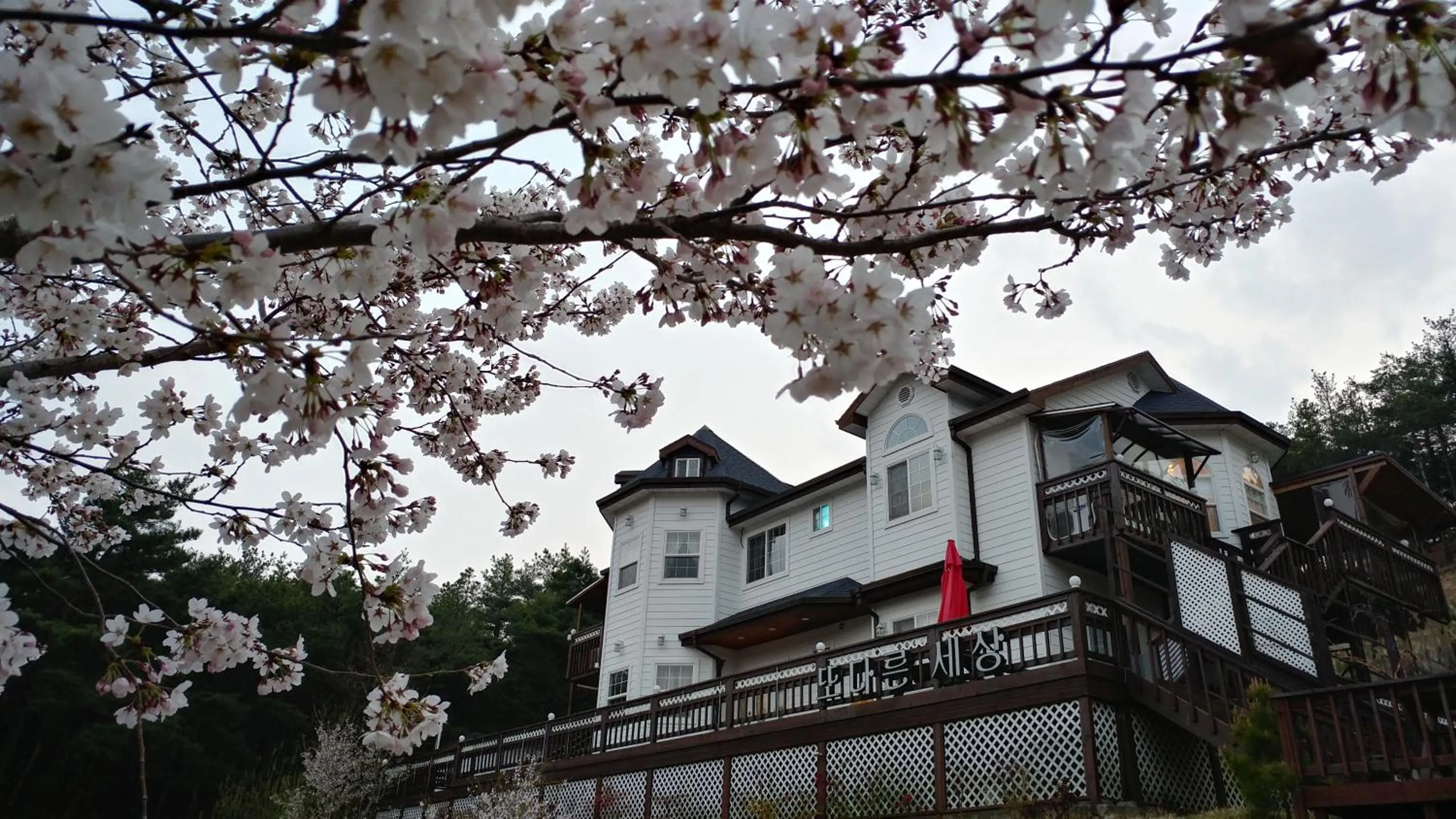 Property building in Another world pension