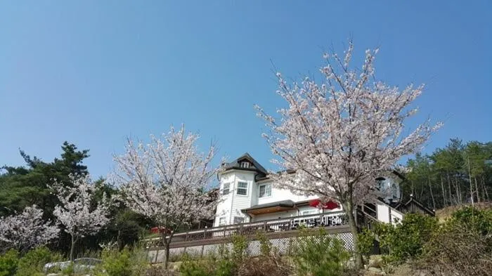 Property building in Another world pension