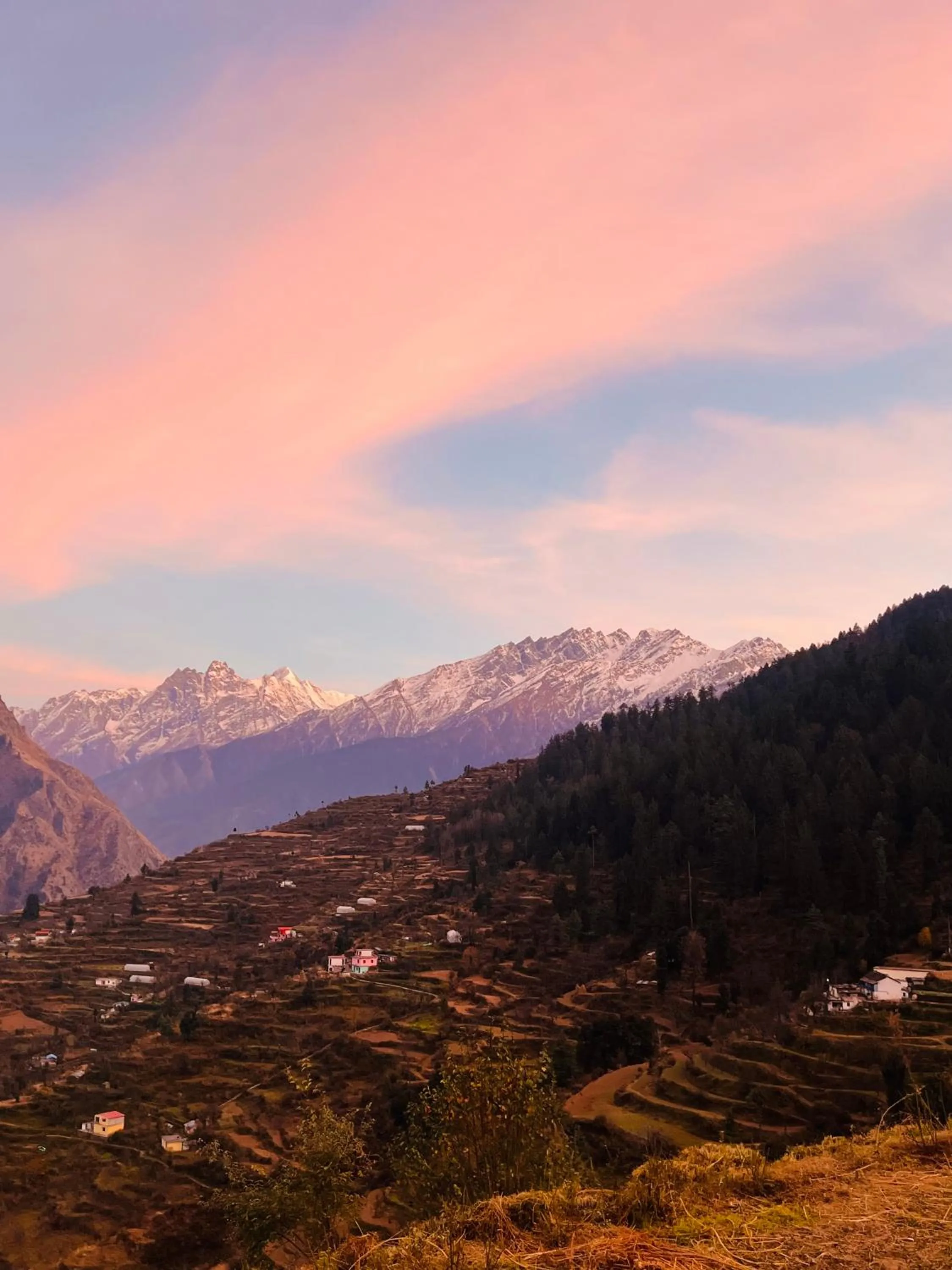Neighbourhood in Faraway Cottages, Auli