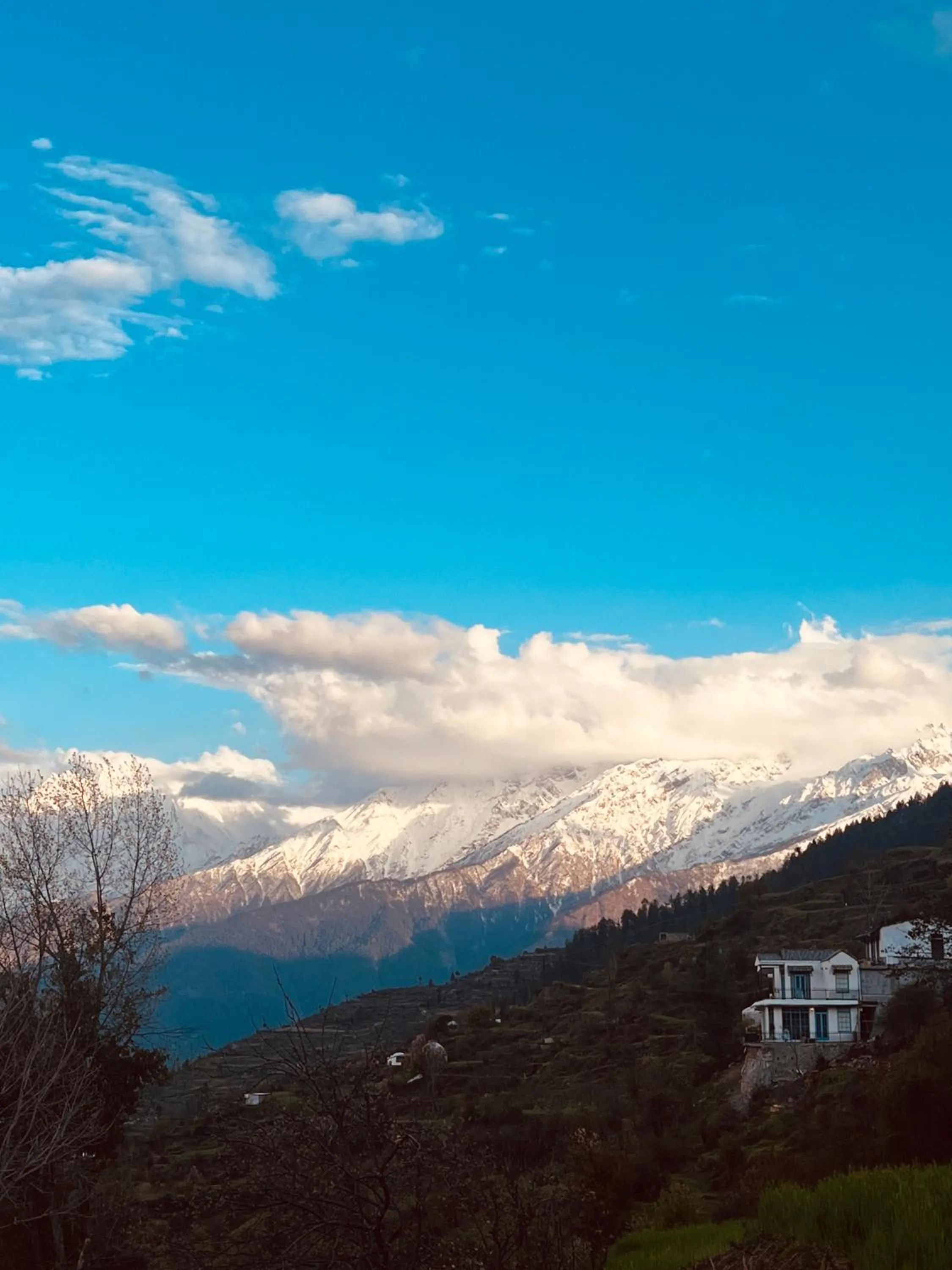 Faraway Cottages, Auli