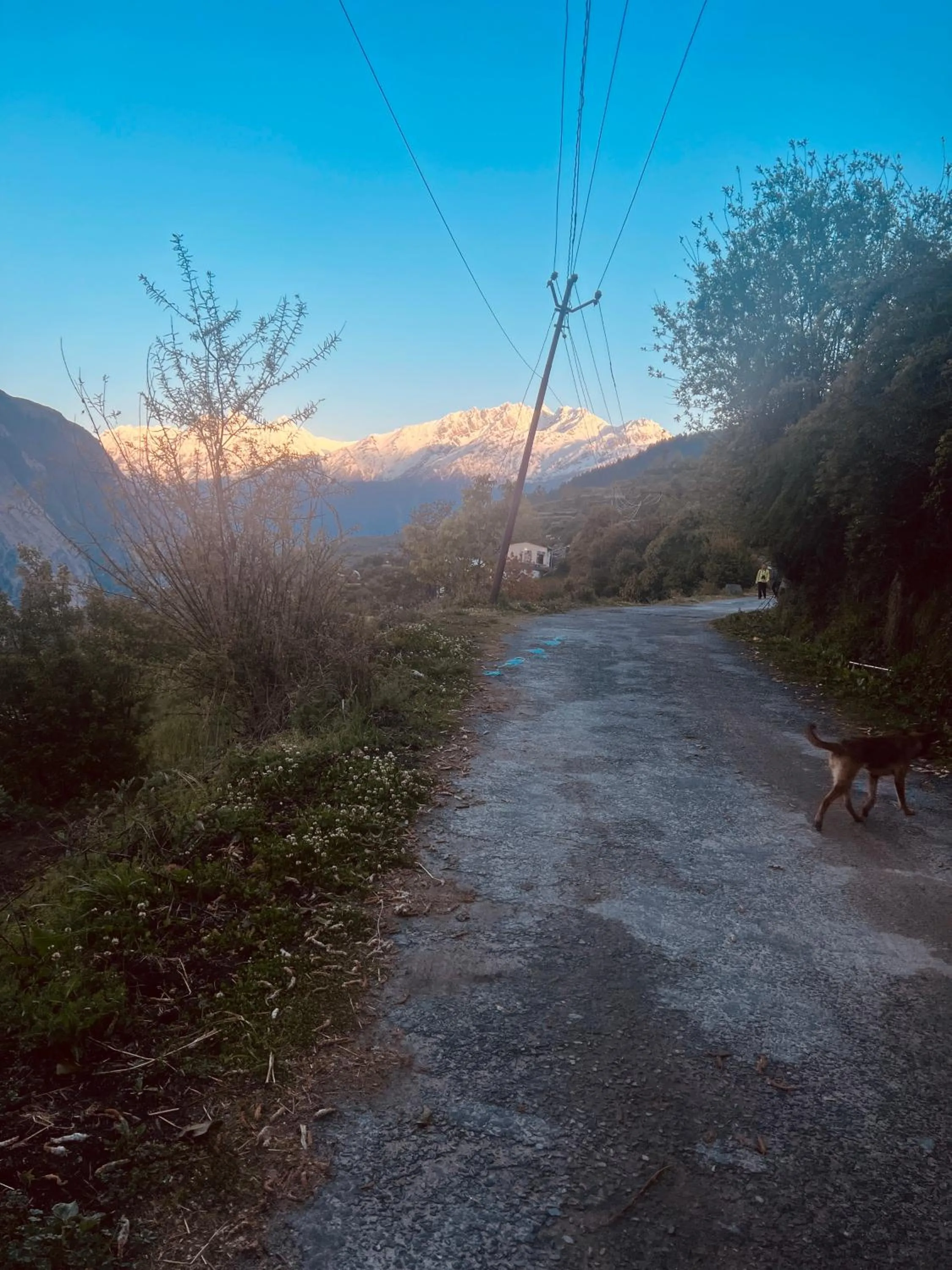 Faraway Cottages, Auli