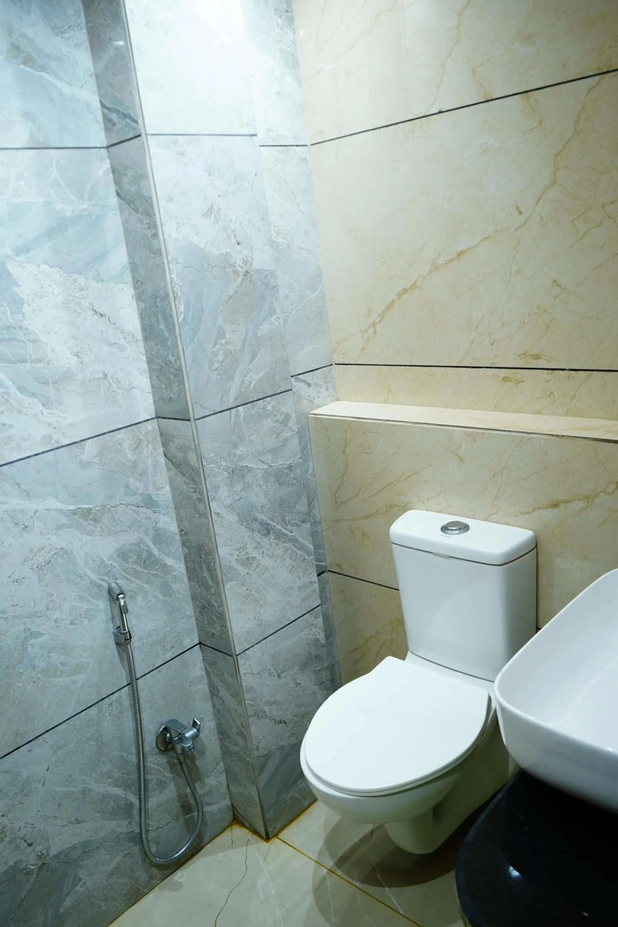 Shower in Hotel Shakuntla Palace