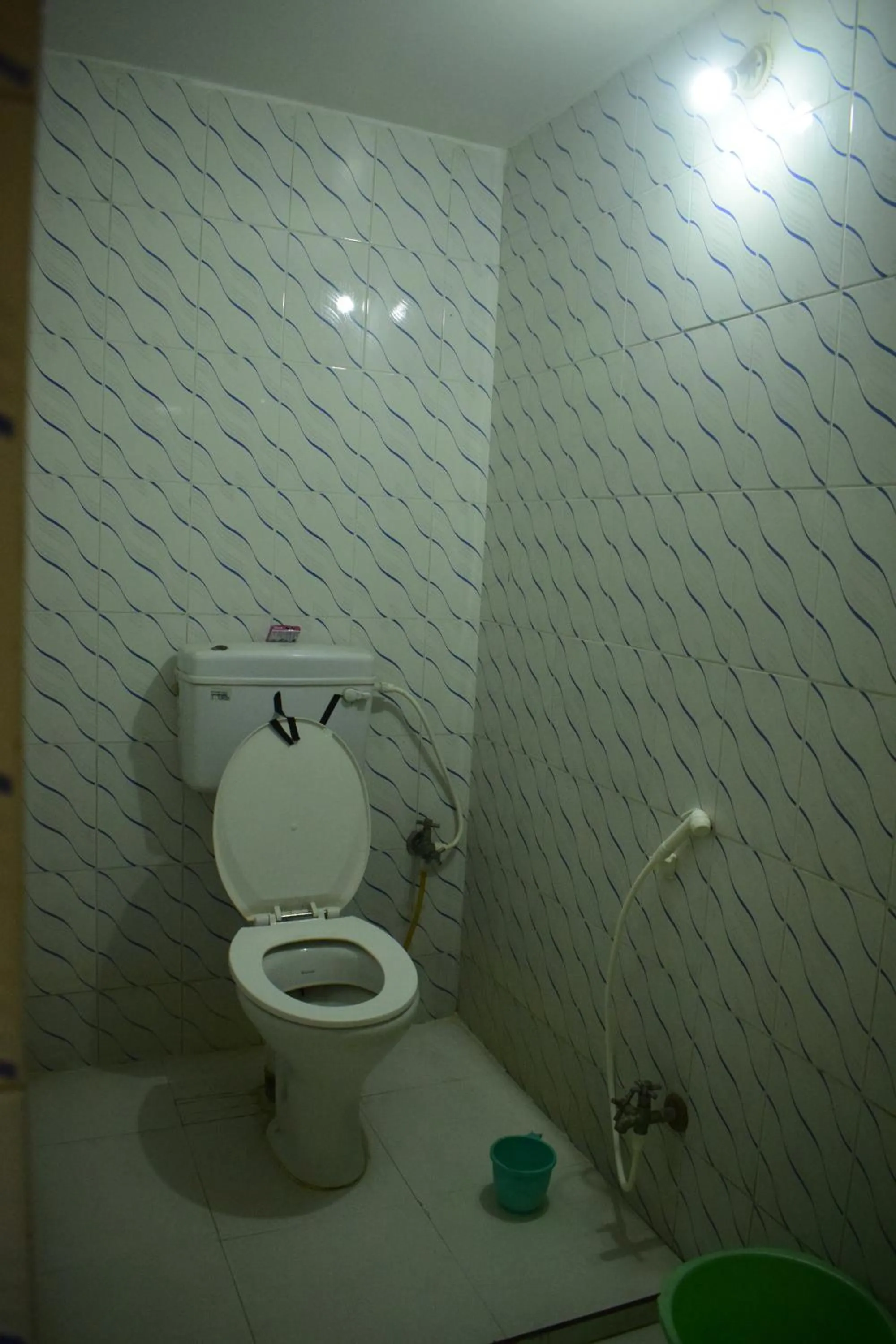 Bathroom in Hotel Shakuntla Palace