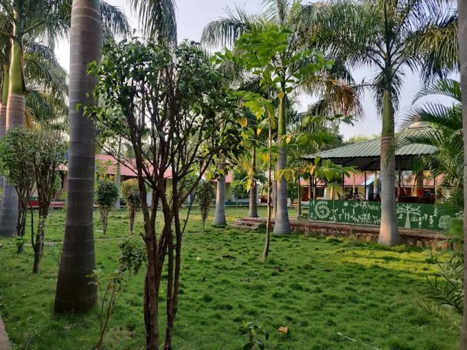 Day in Tadoba Tiger Valley Resort Tadoba