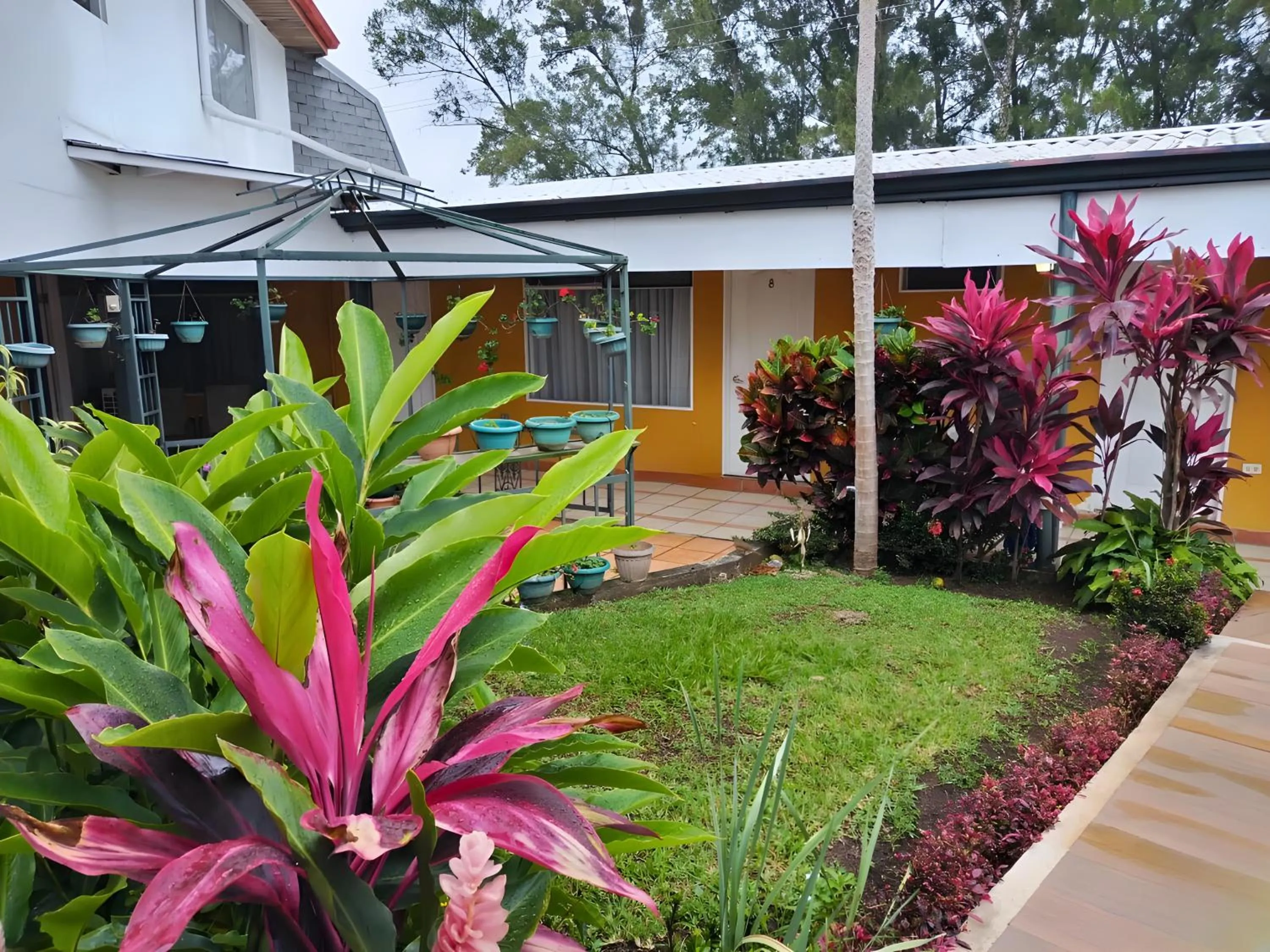 Garden in Hotel Puerta del Sol - San Jose Airport