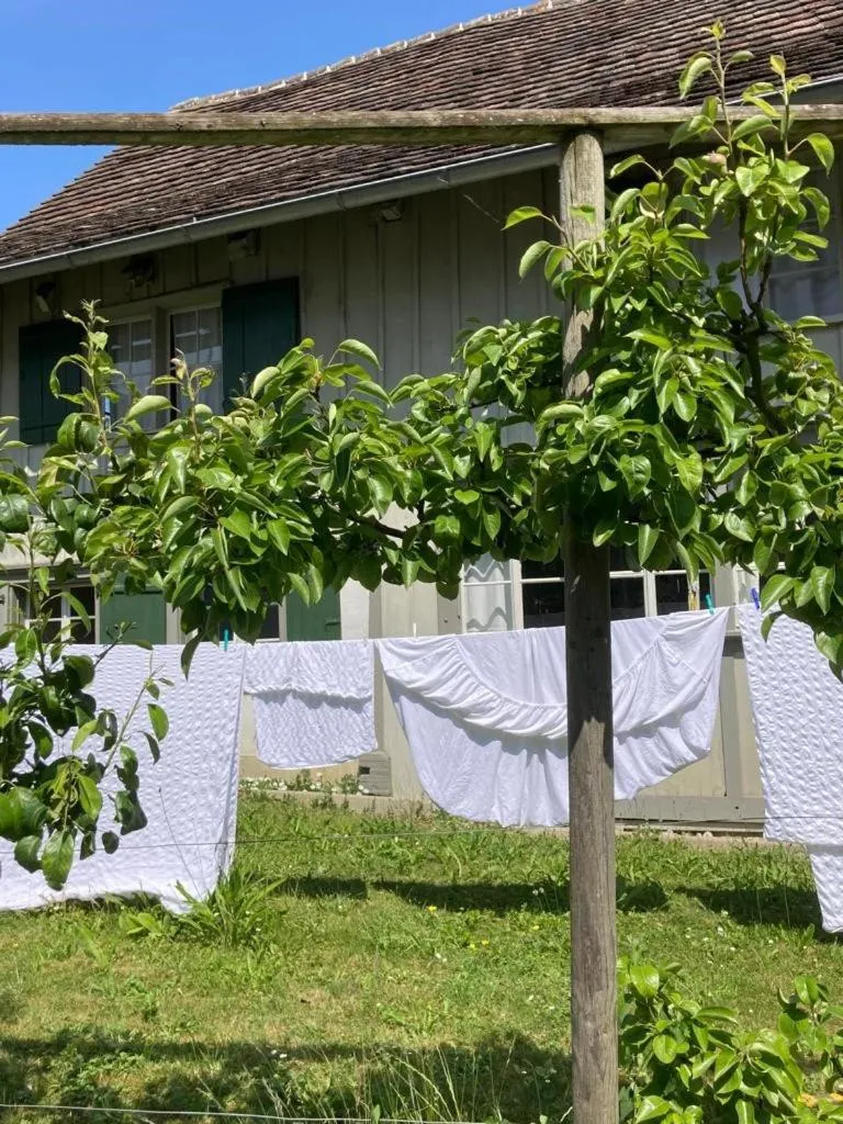 Property building in Fischerhäuser Romanshorn