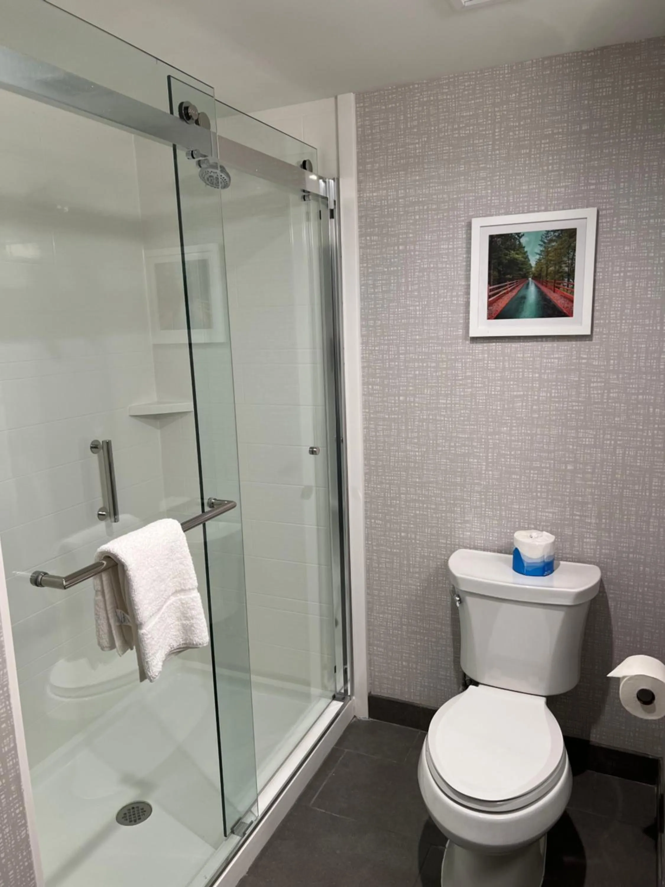 Shower in Hampton Inn Lincoln White Mountains