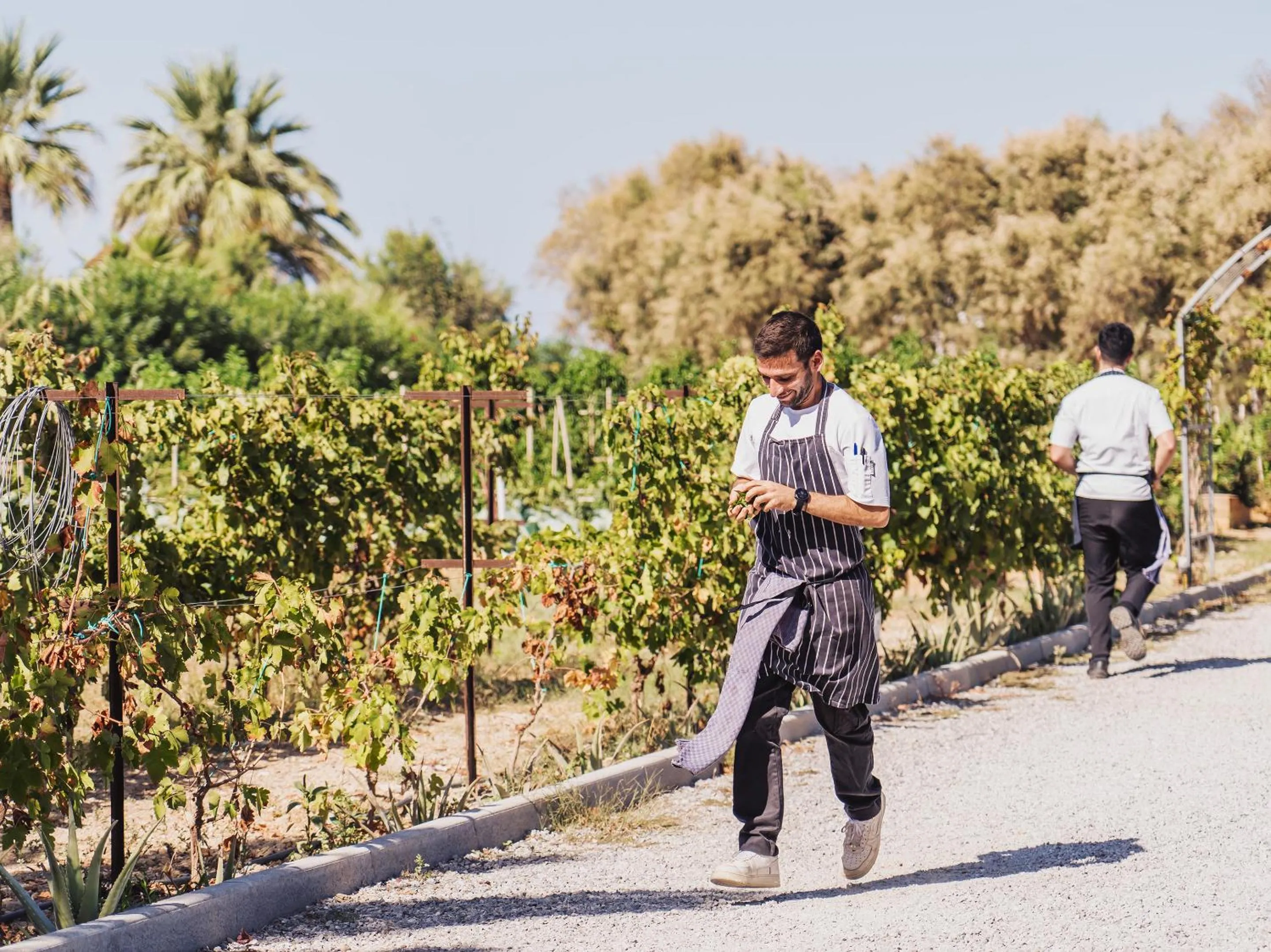 Garden in Grecotel Creta Palace
