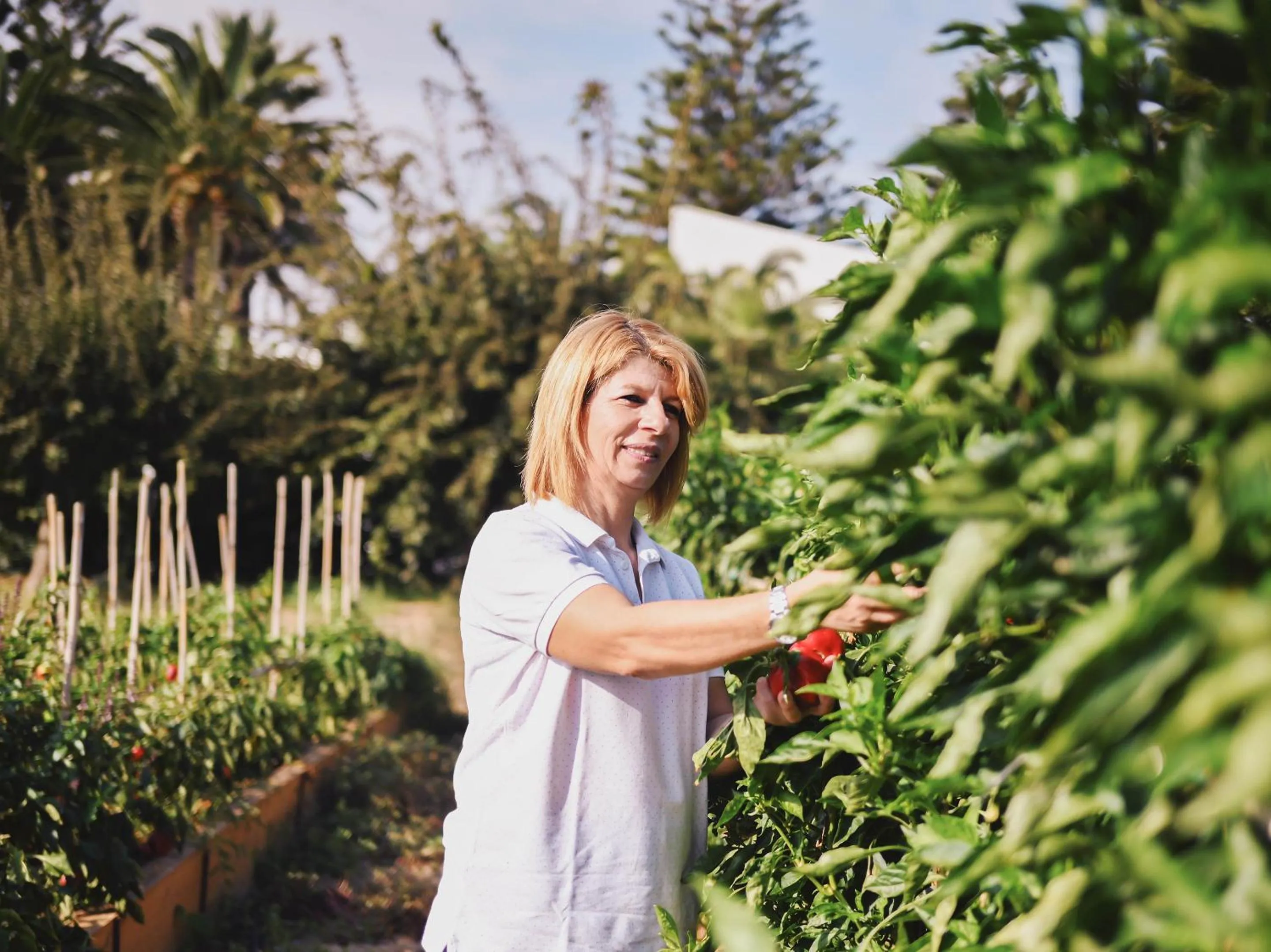 Garden in Grecotel Creta Palace
