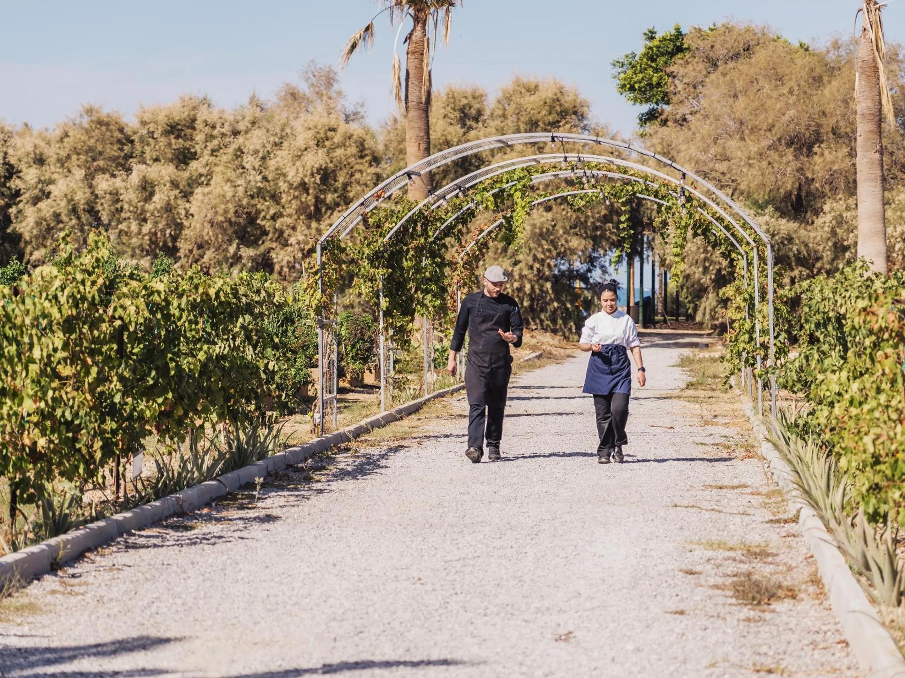 Garden in Grecotel Creta Palace