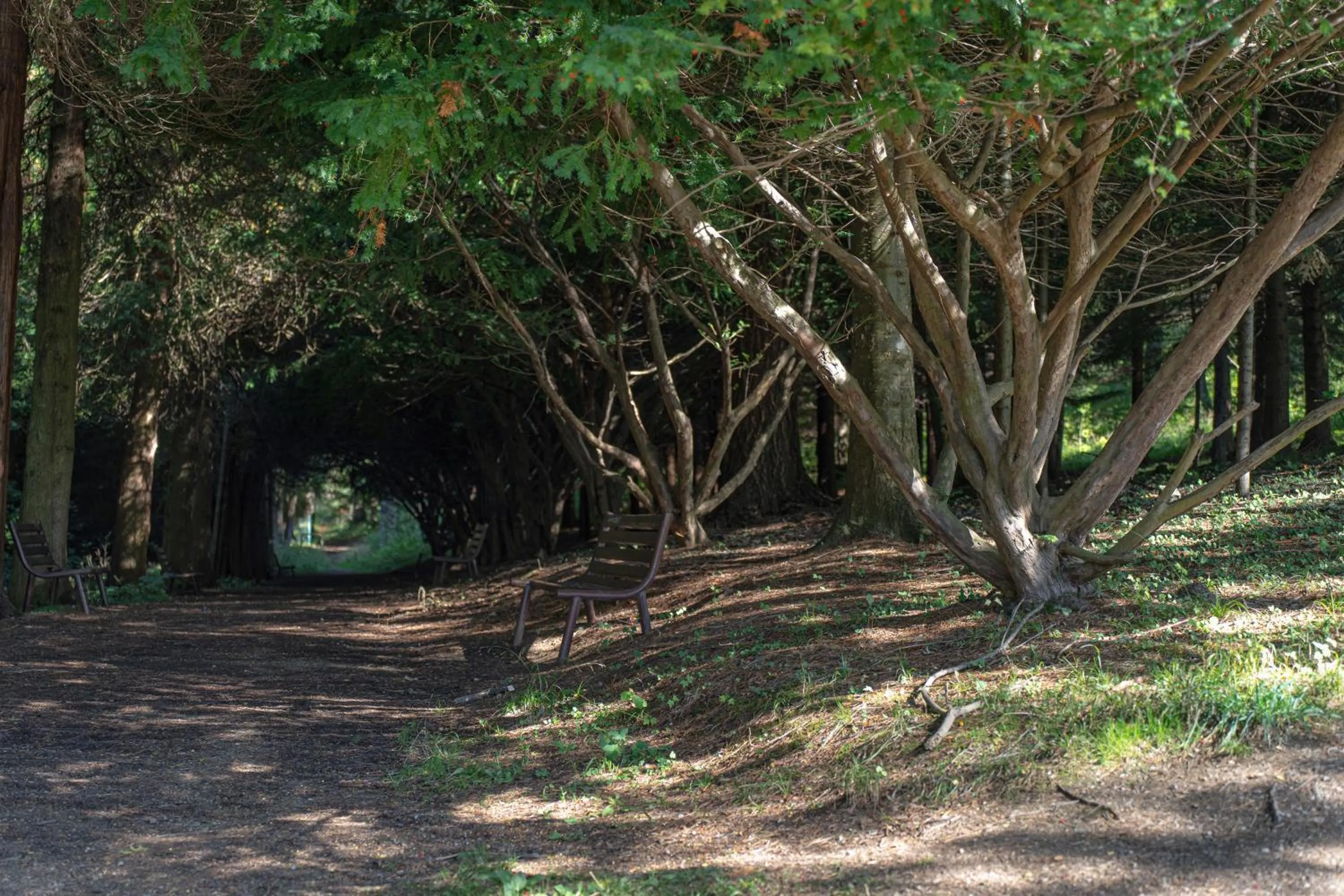 Landmark view in Hotel Pieniny Grand Wellness & SPA - Destigo Hotels