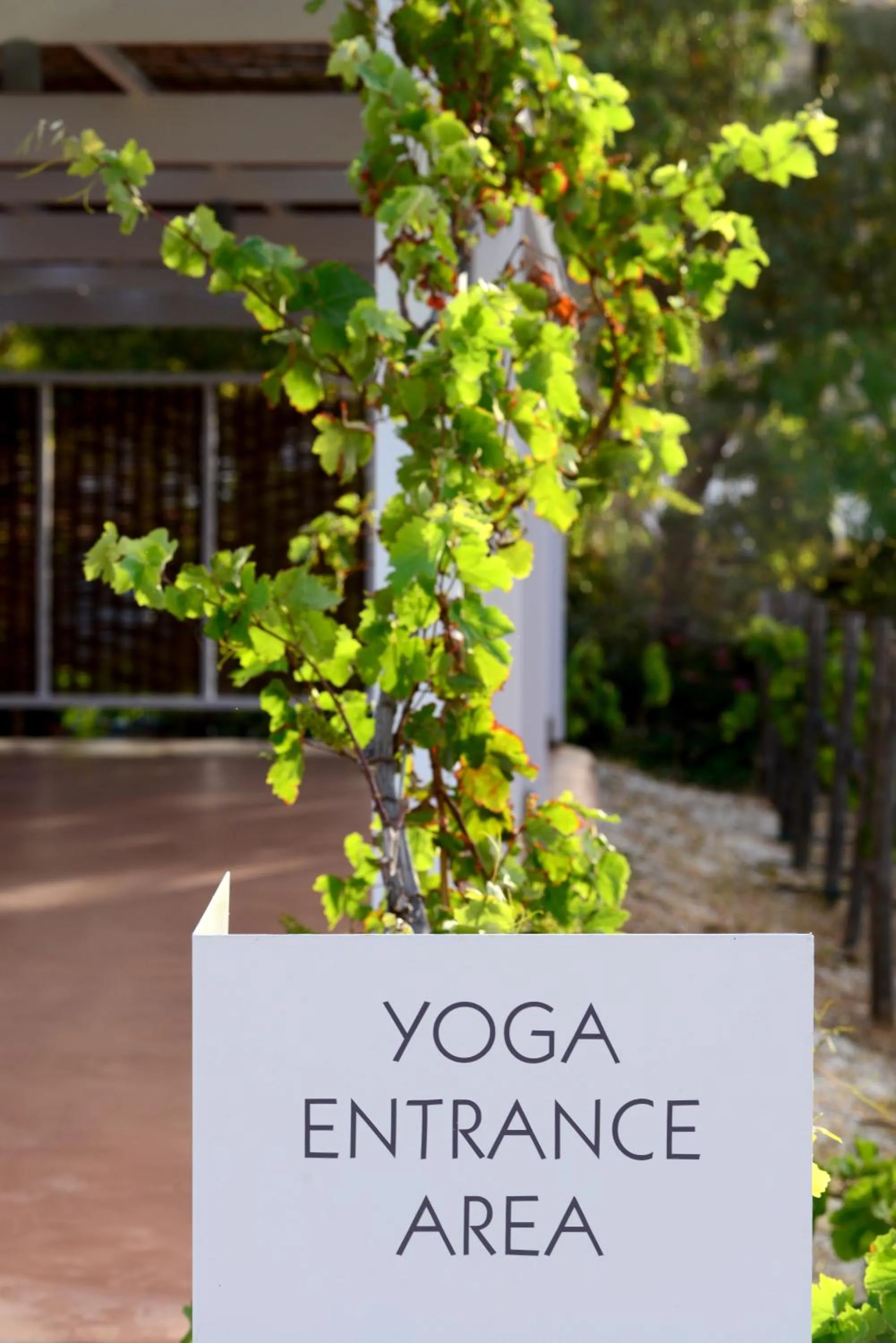 Other in ANEMI Folegandros