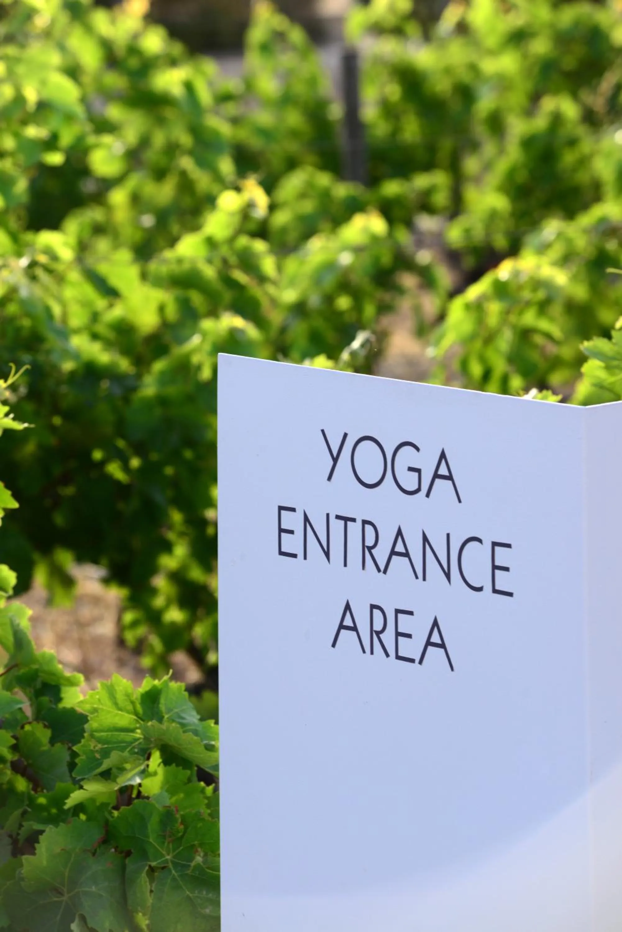 Other in ANEMI Folegandros