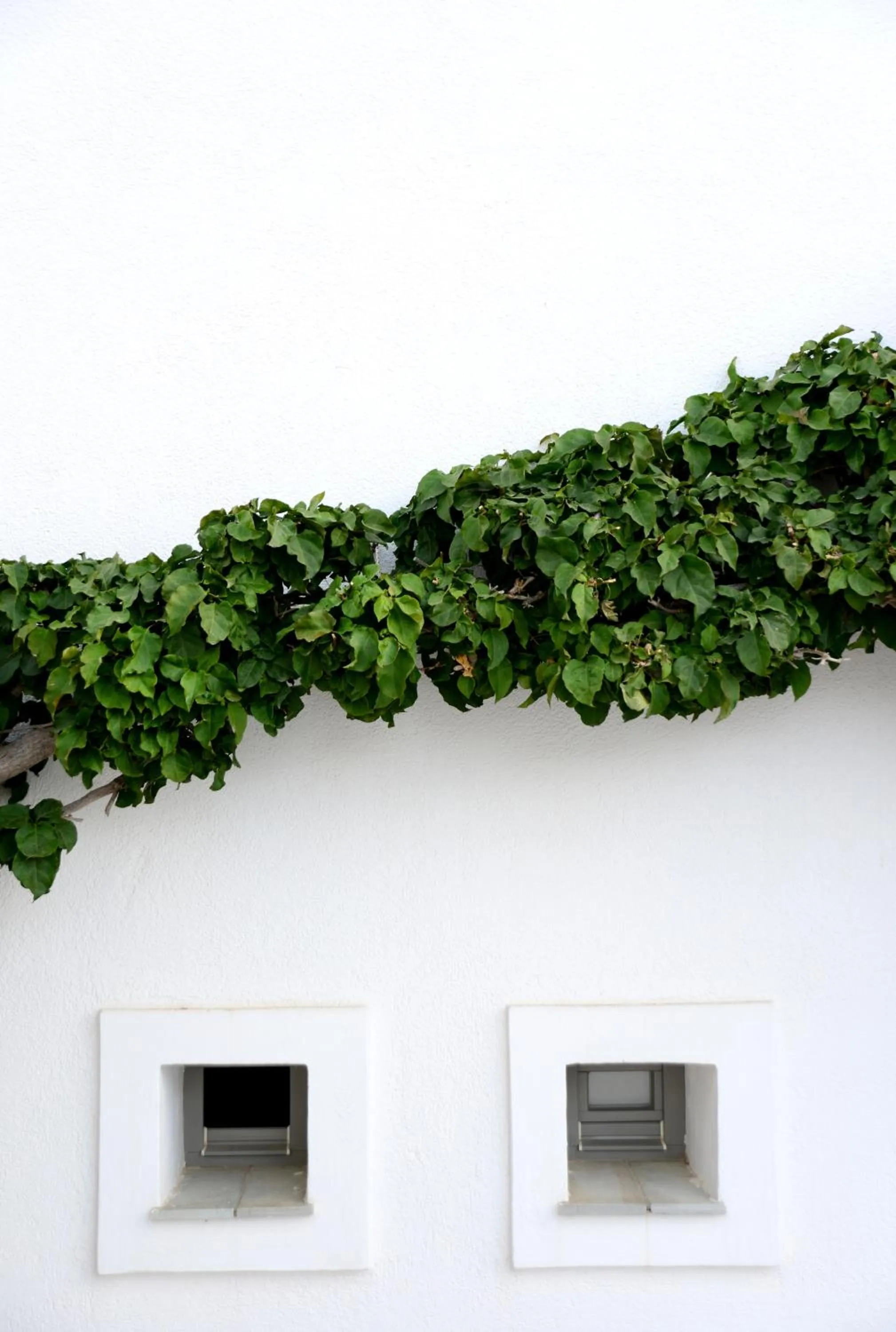 Garden in ANEMI Folegandros