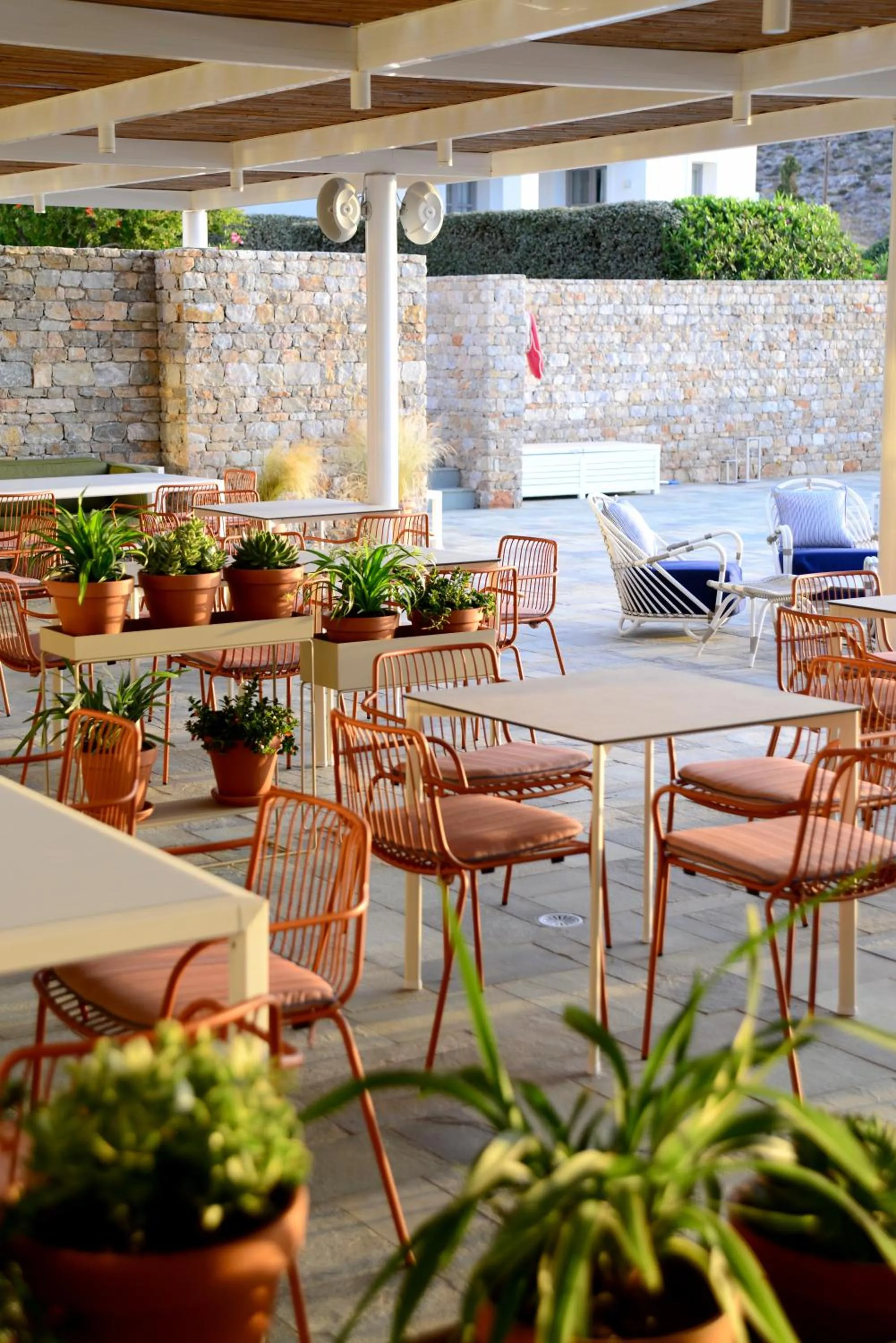 Restaurant/places to eat in ANEMI Folegandros