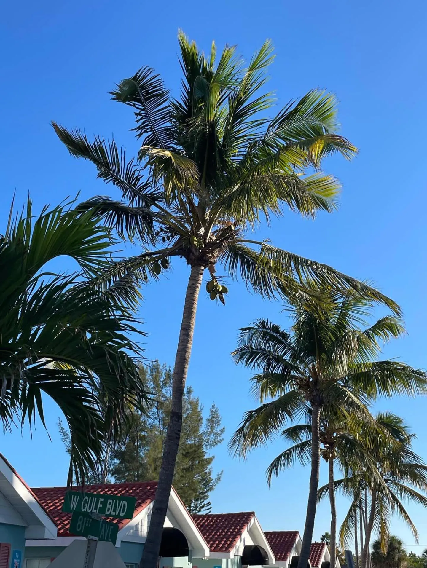 Day in Blue Waters Treasure Island