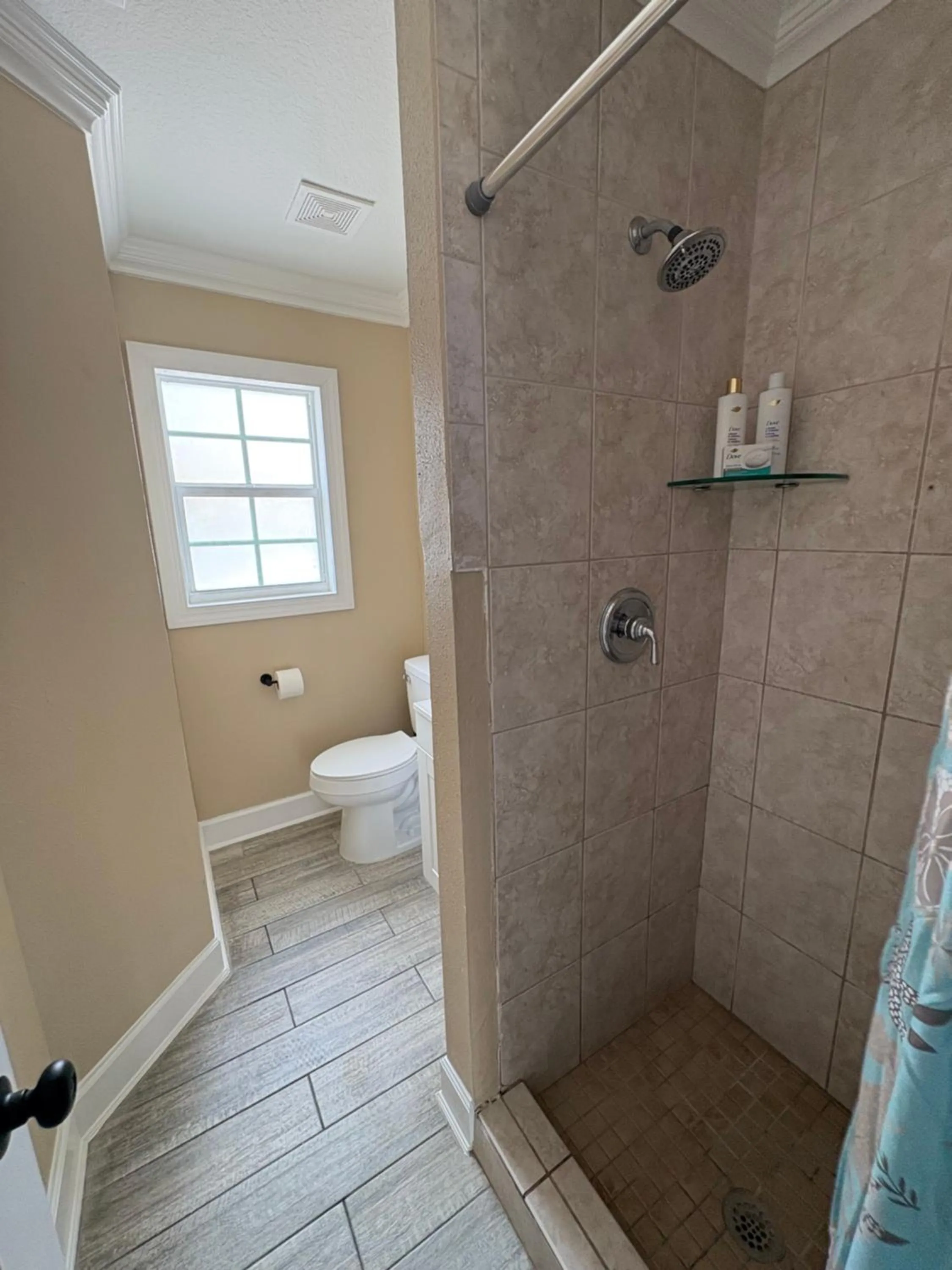 Blue Waters Treasure Island