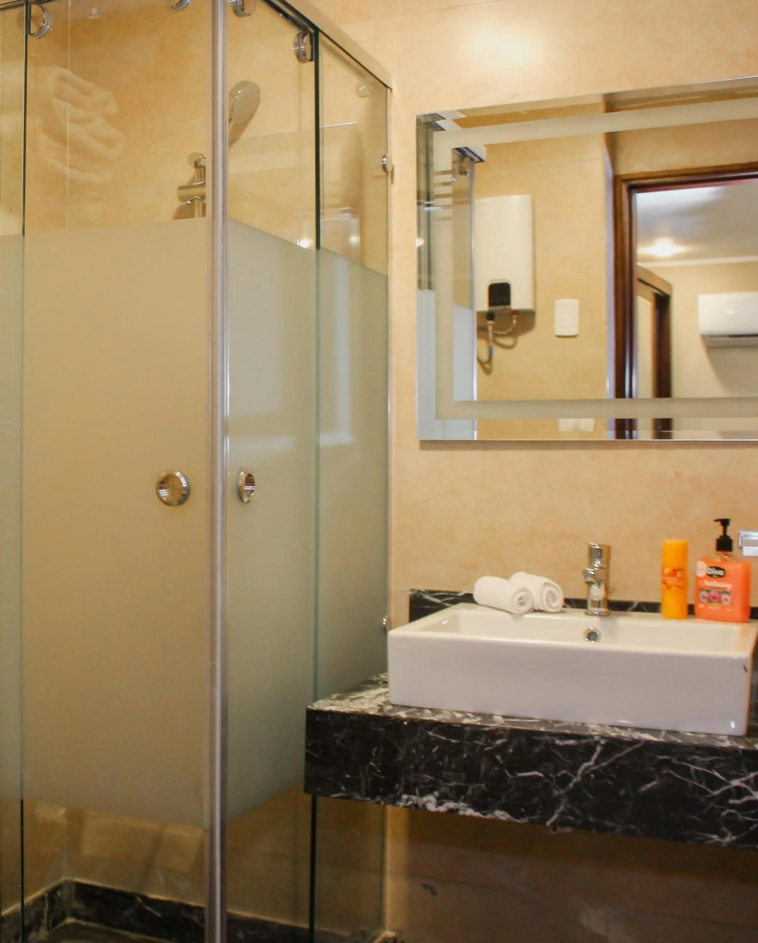 Shower in Asia Grand Museum & Pyramids view