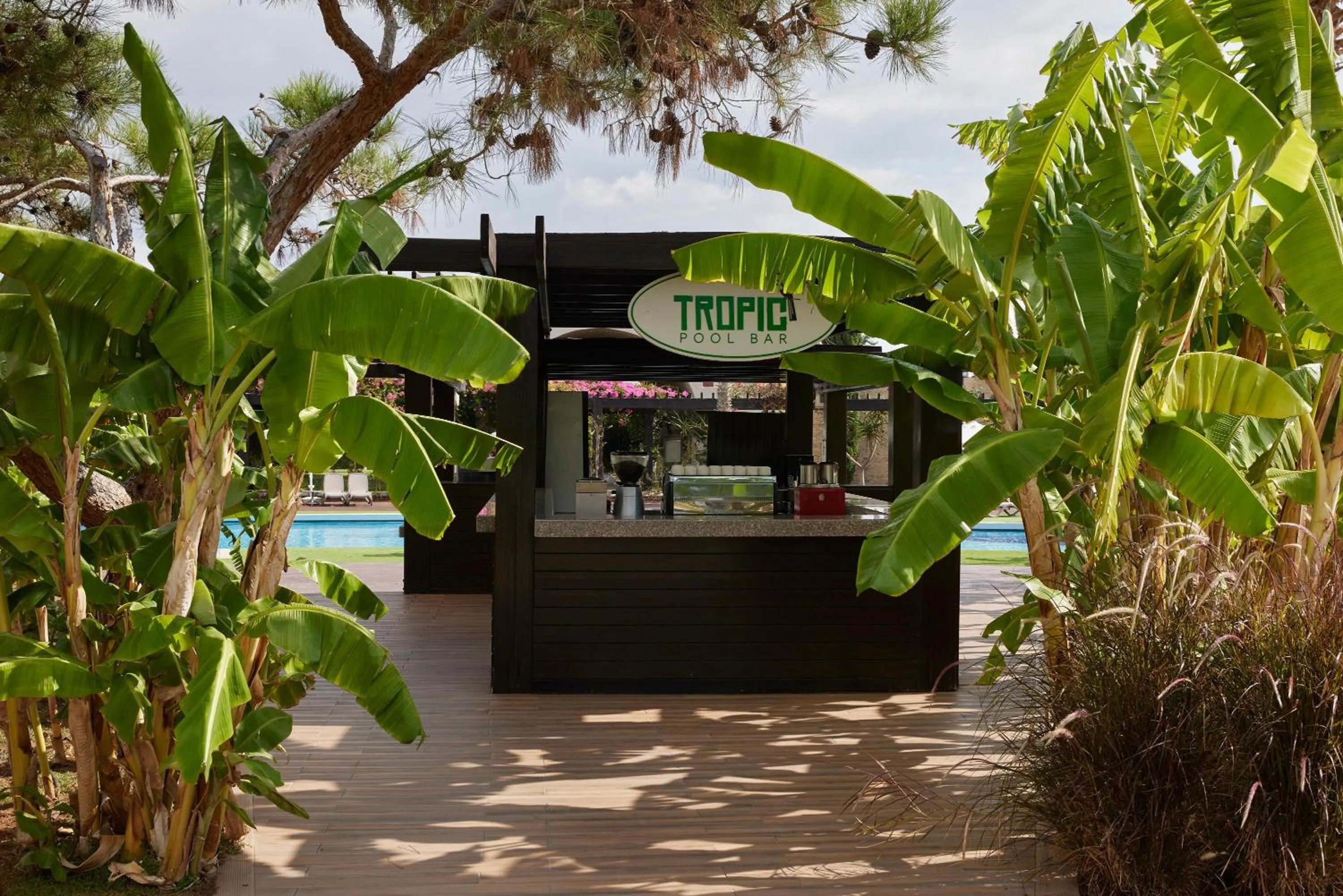 Lounge or bar in Concorde Luxury Resort & Casino