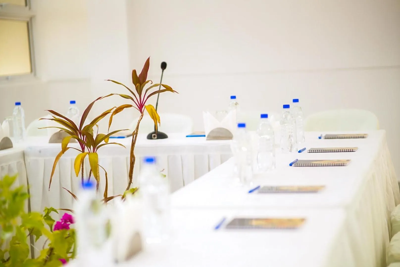 Meeting/conference room in Hotel Flora