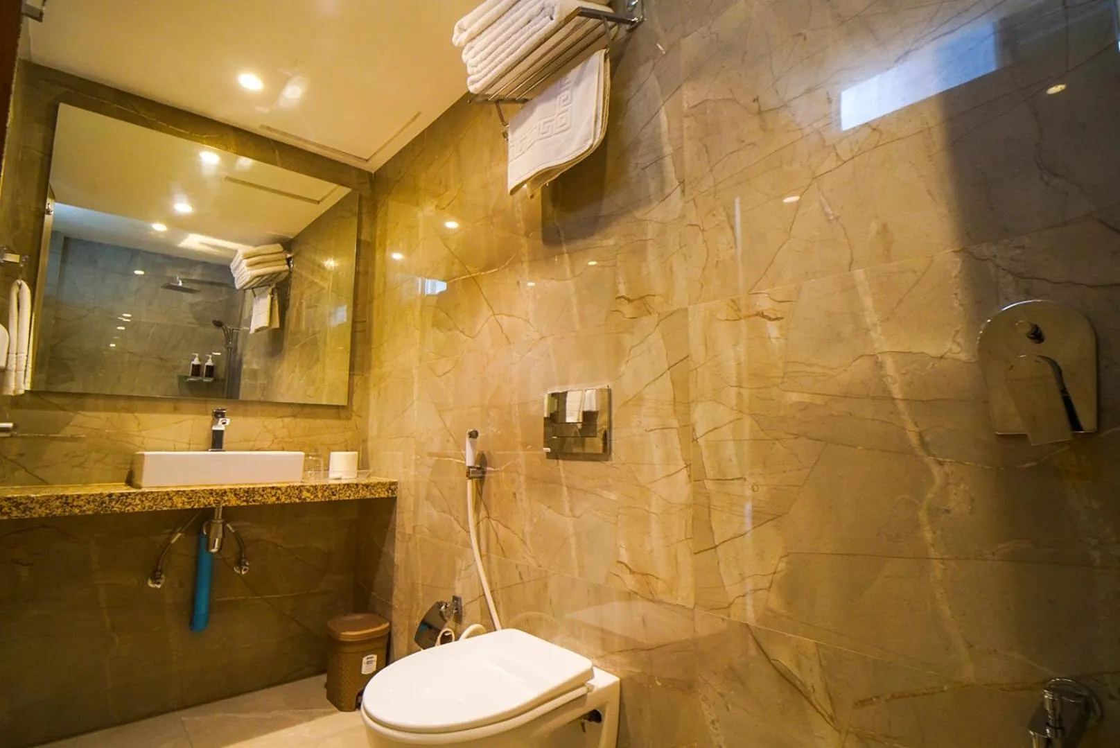 Toilet in Hotel Flora