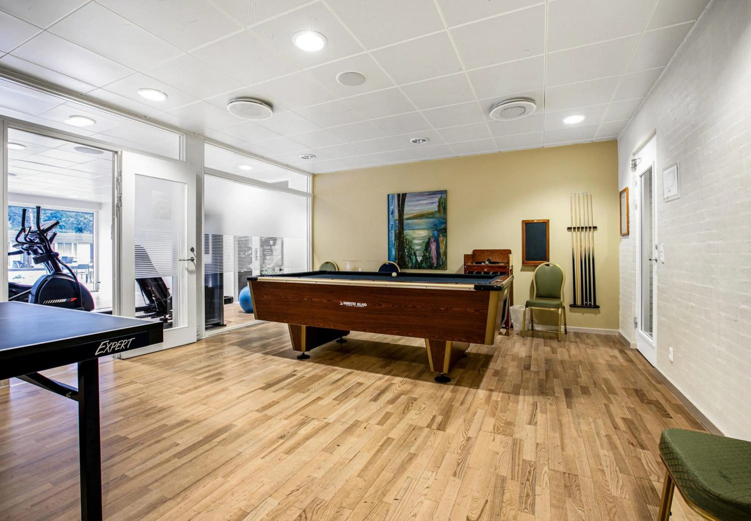 Billiard in Hotel/ Apartments Marina